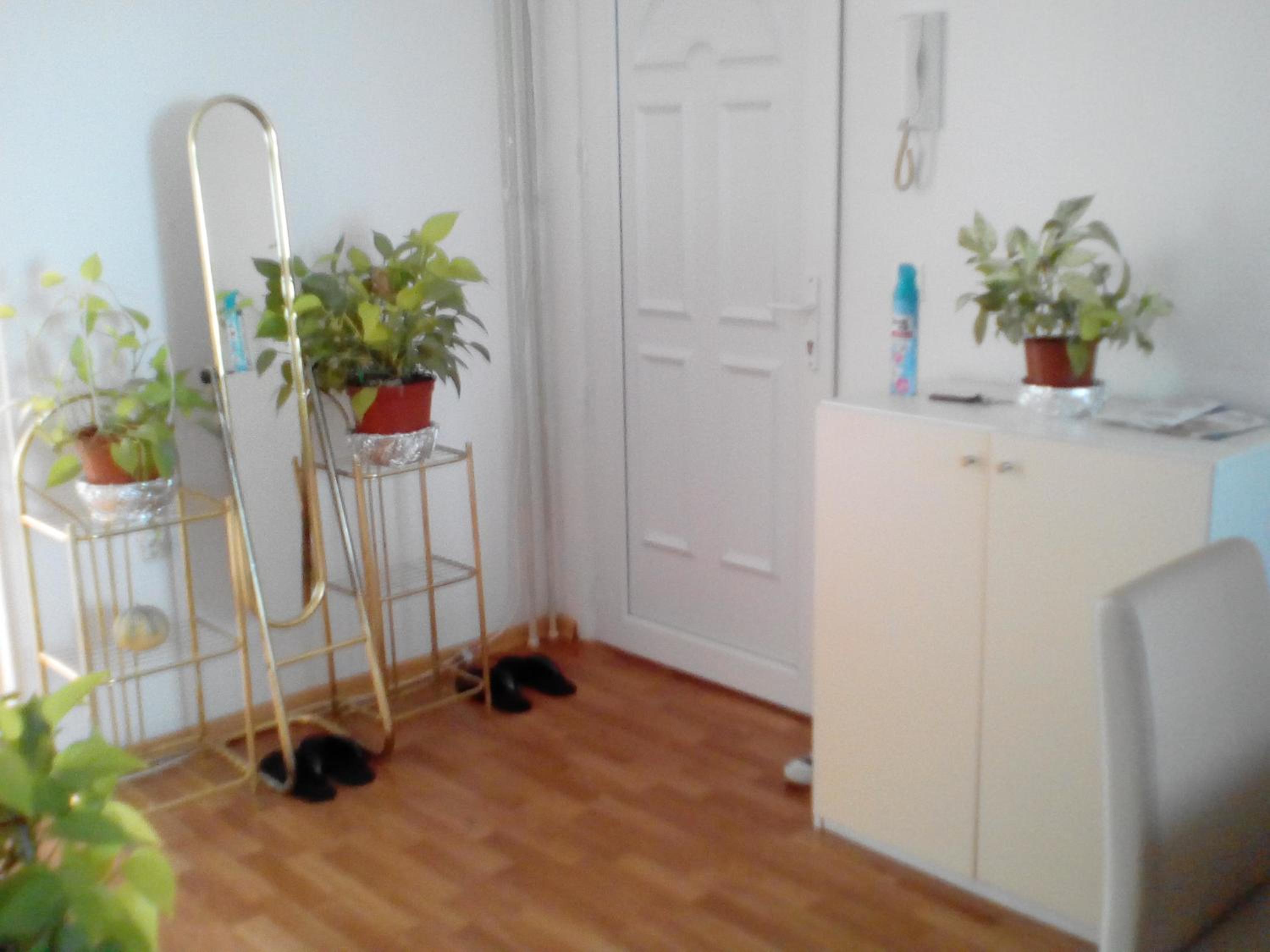 Apartment Alipašino view 5