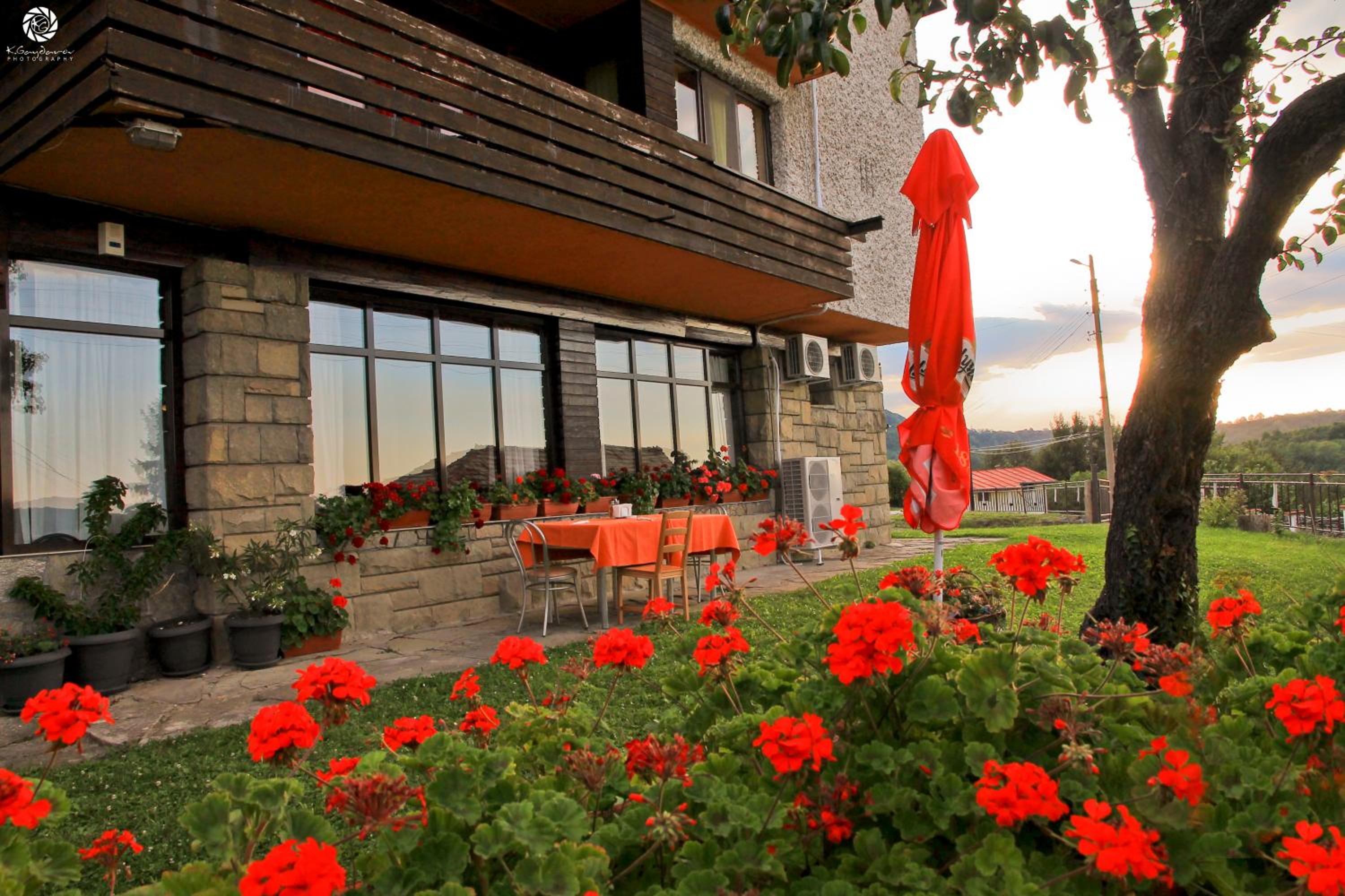 Guest House Daskalov