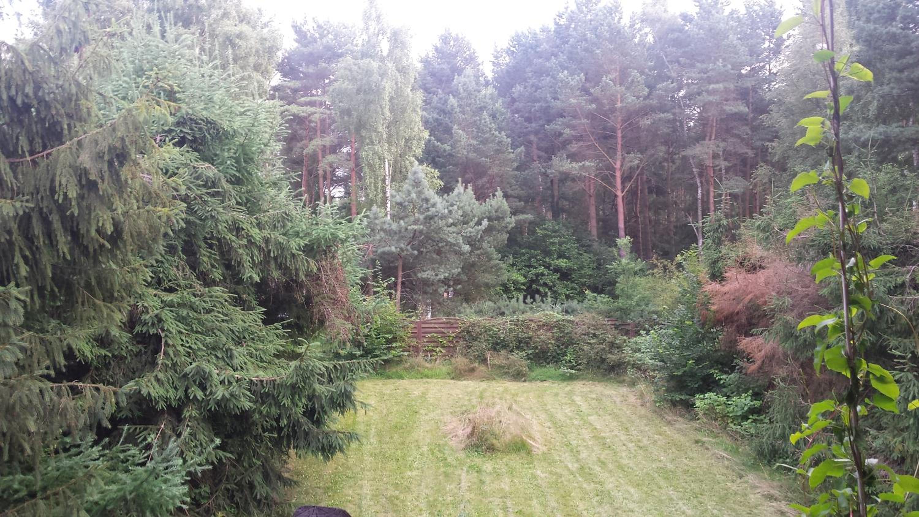Kofi Garden