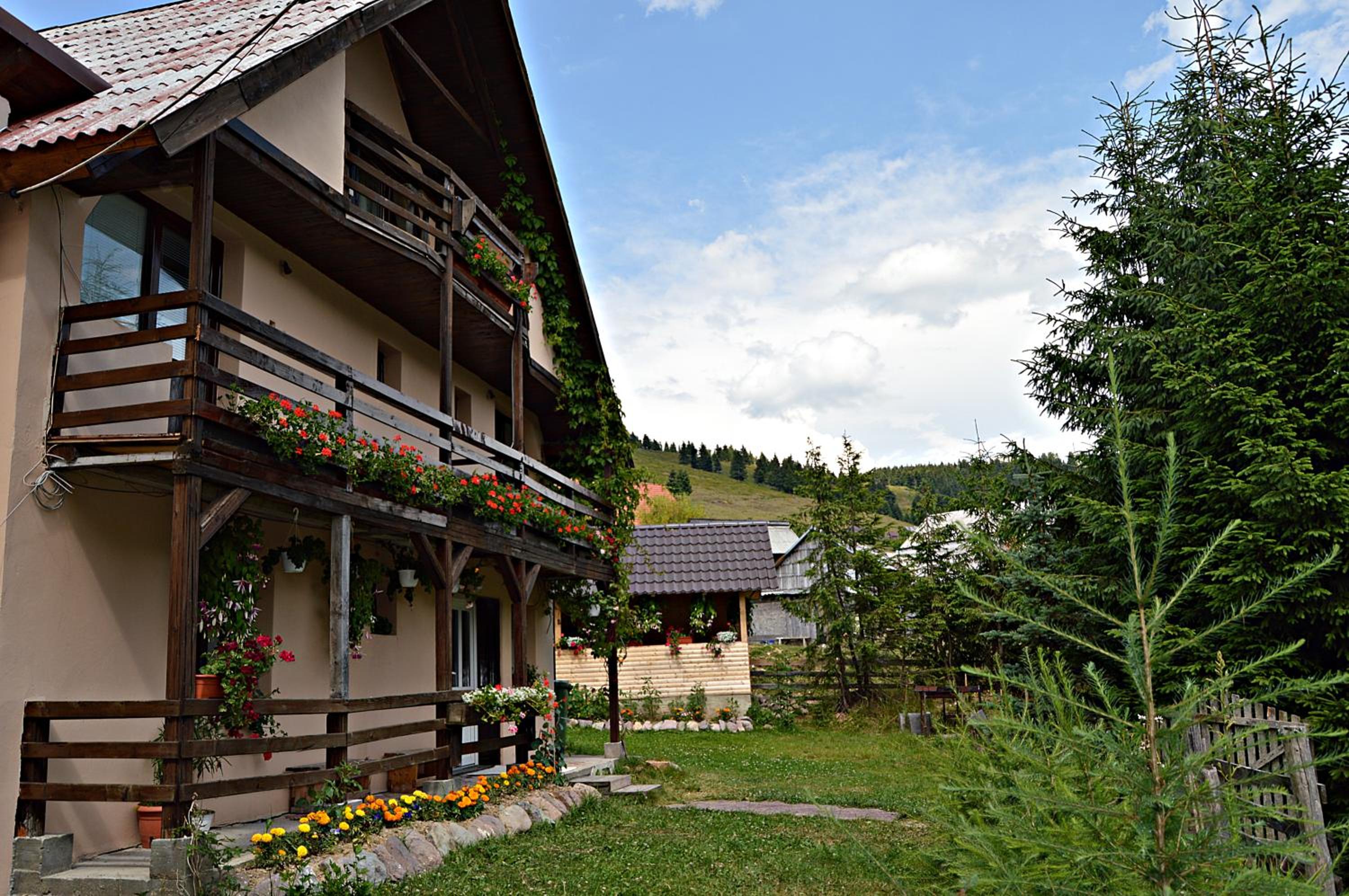Photo 25