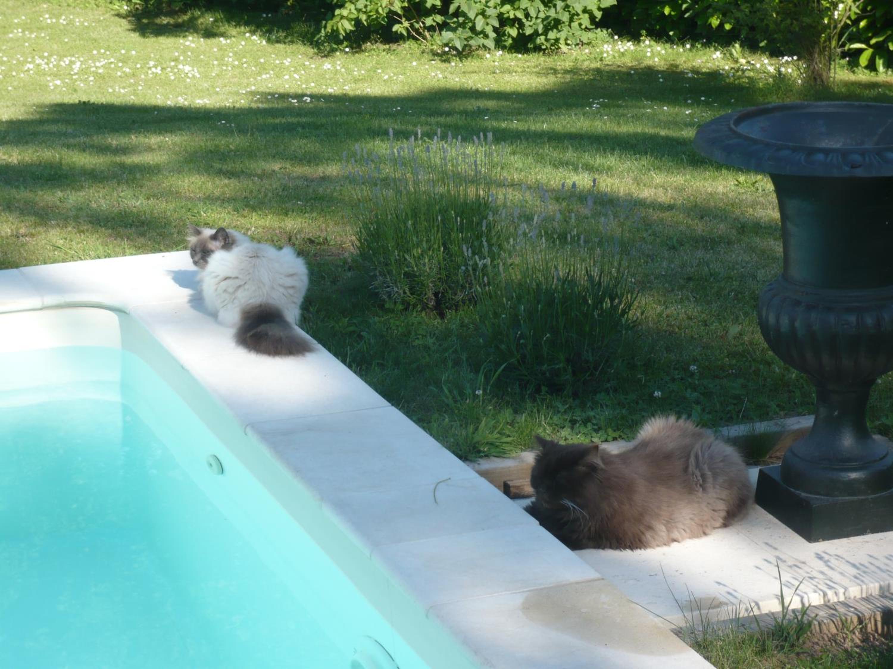 Photo 24