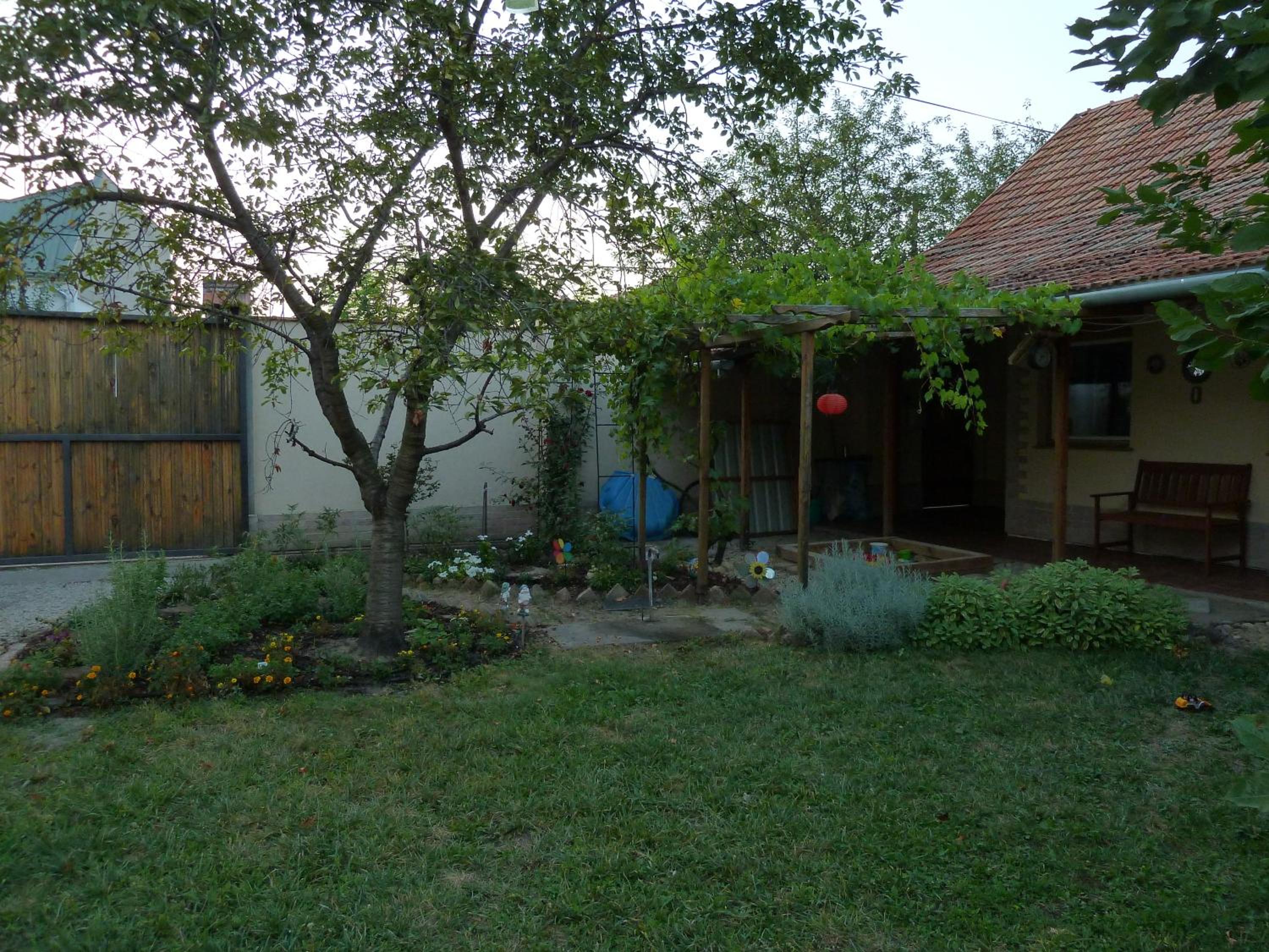 Photo 24