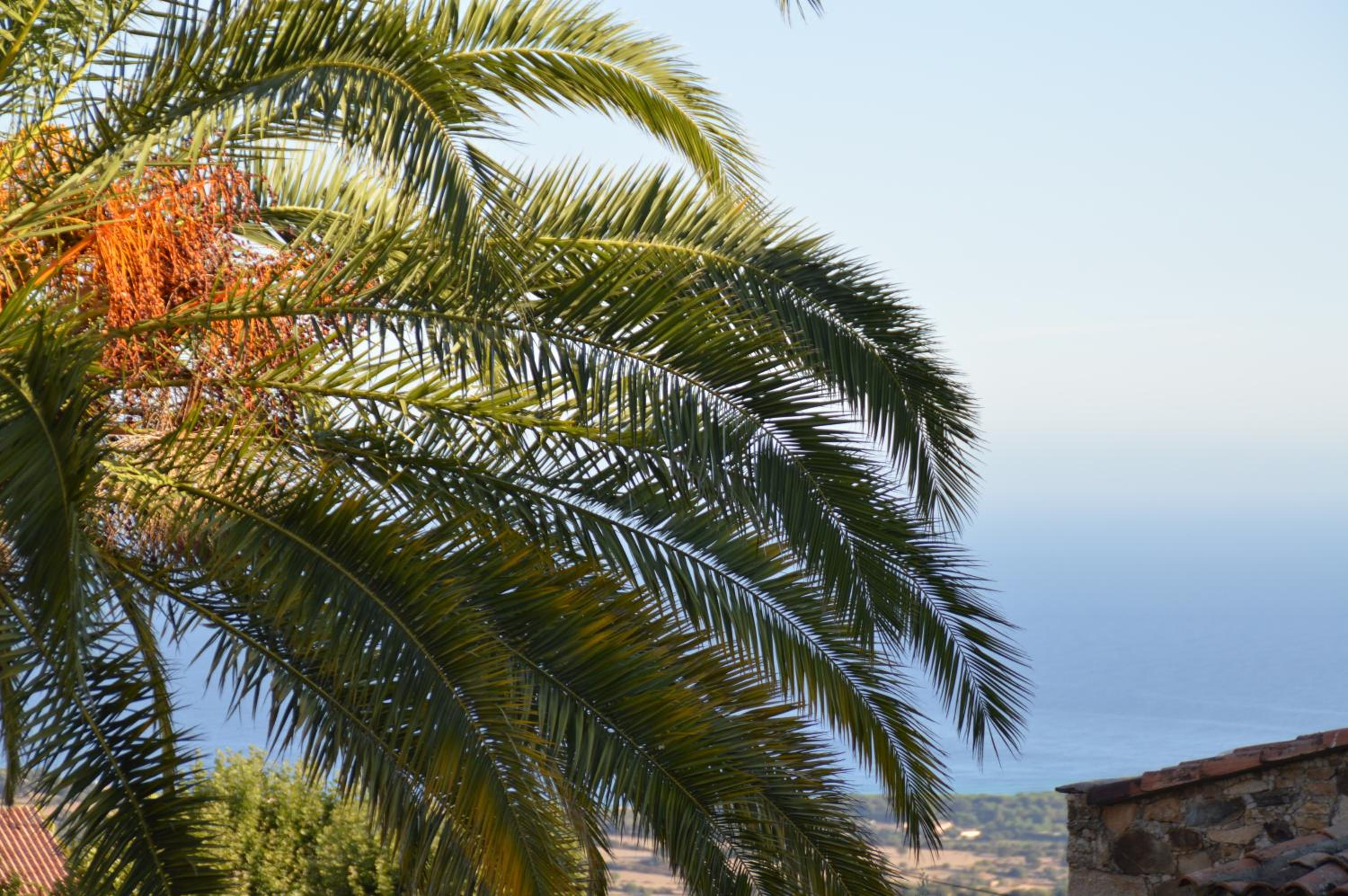 maison corse en balagne