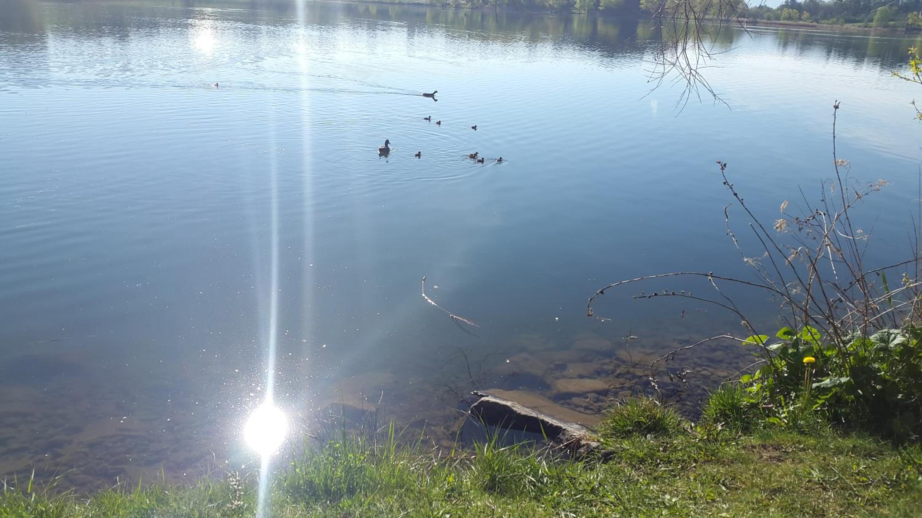 Photo 43