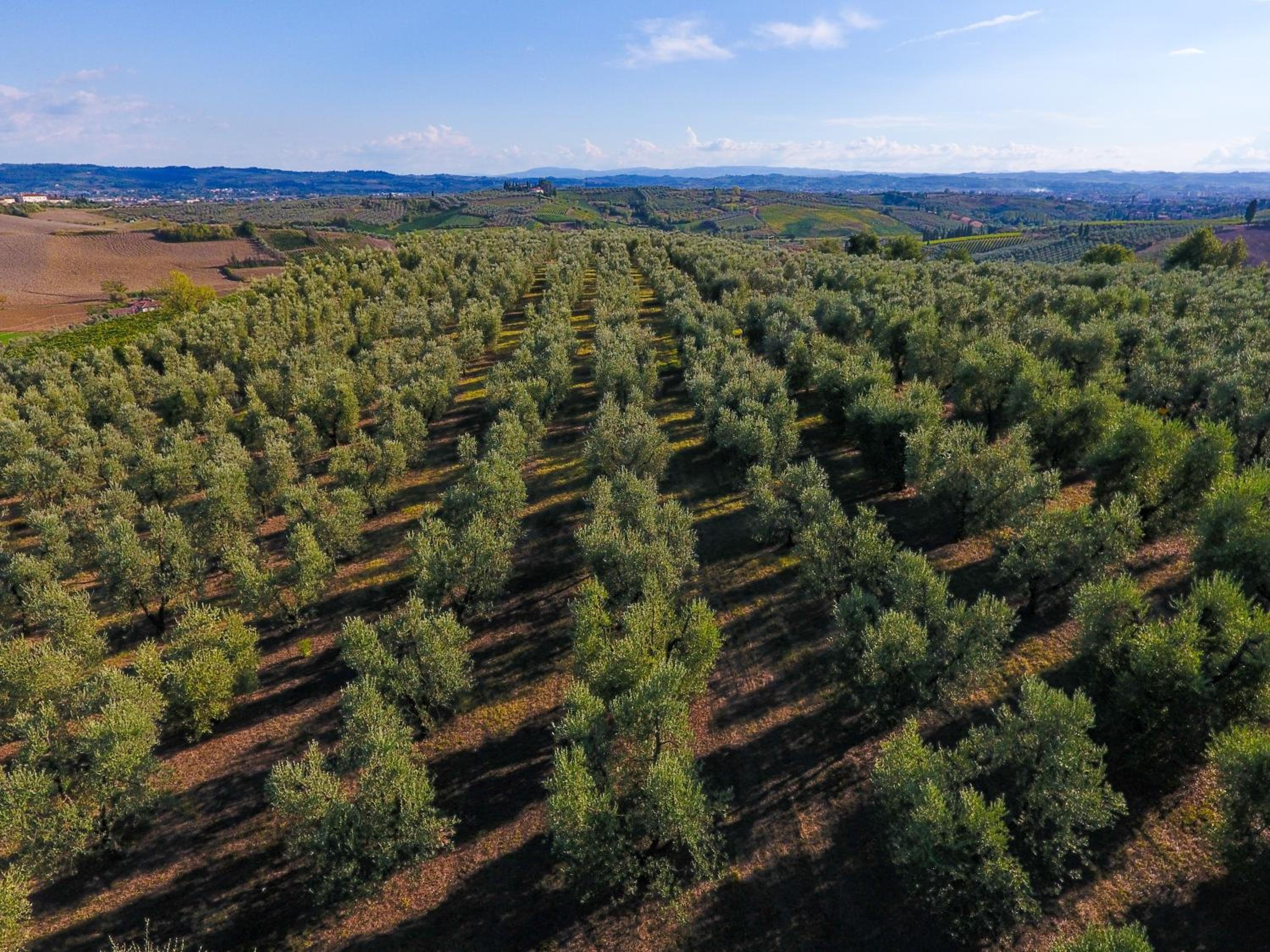 Agriturismo Luggiano