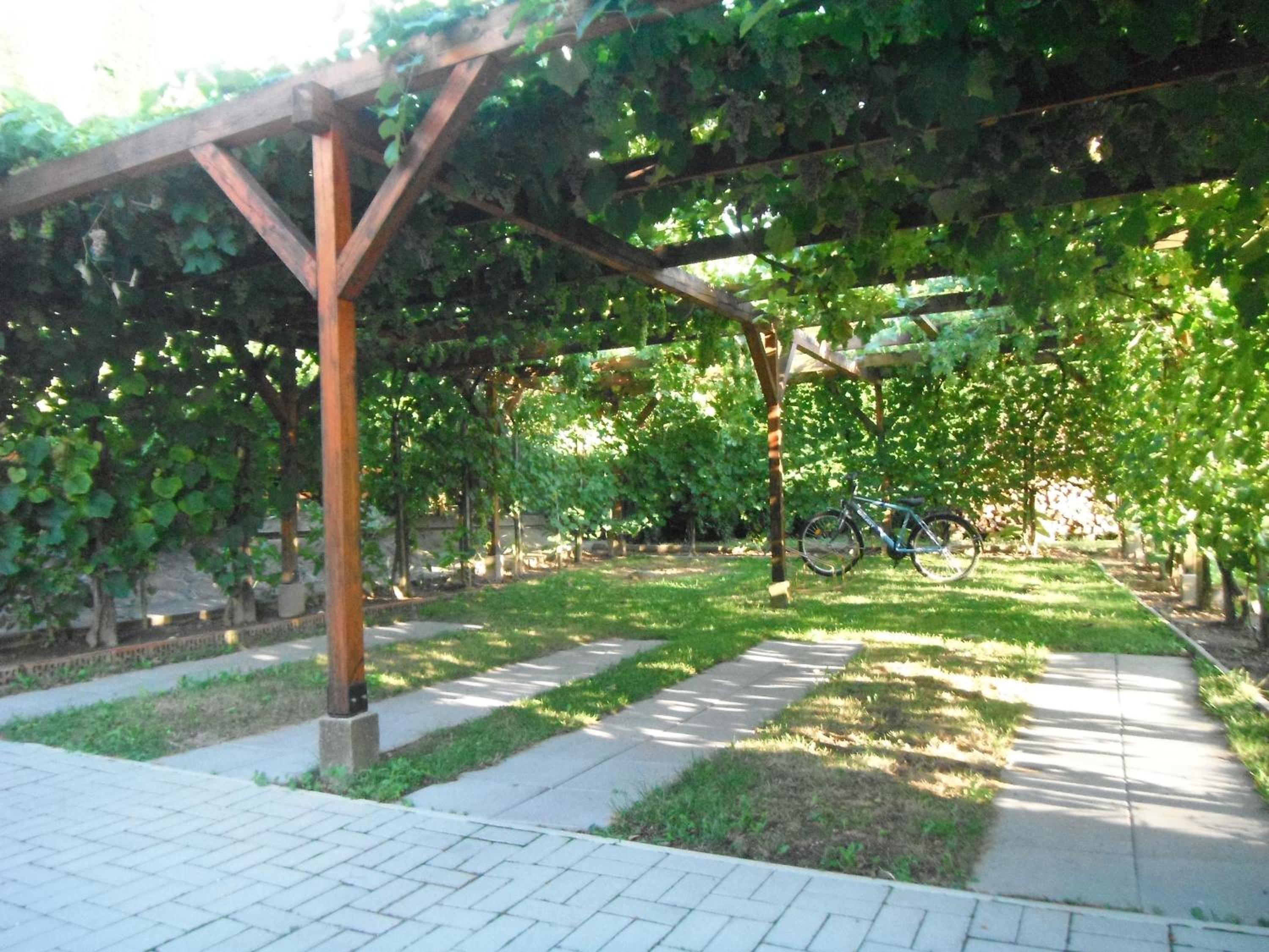Photo 16