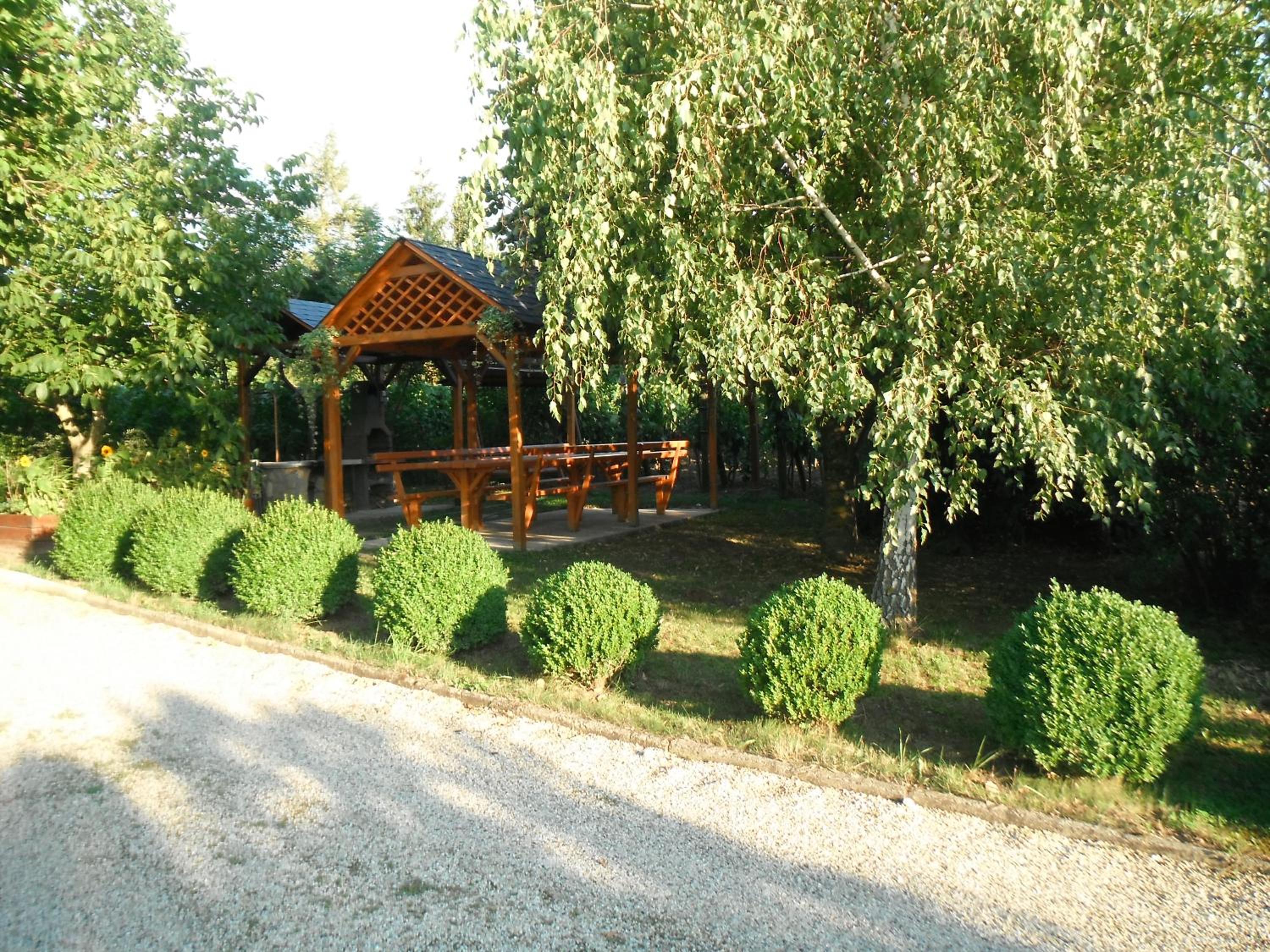 Photo 17