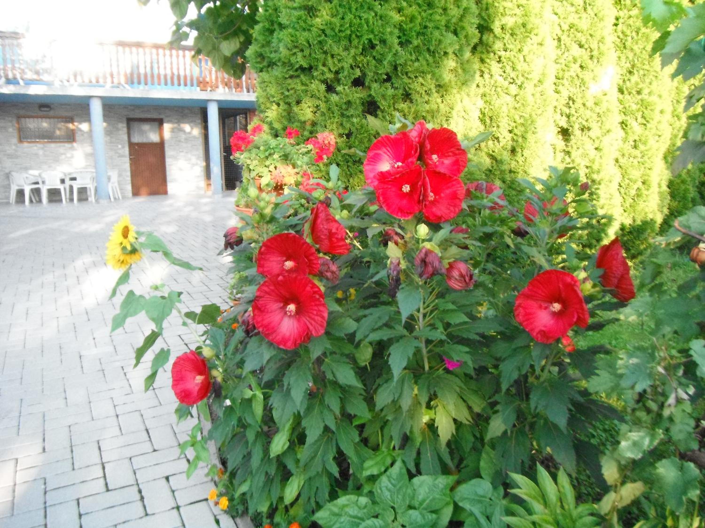 Photo 18