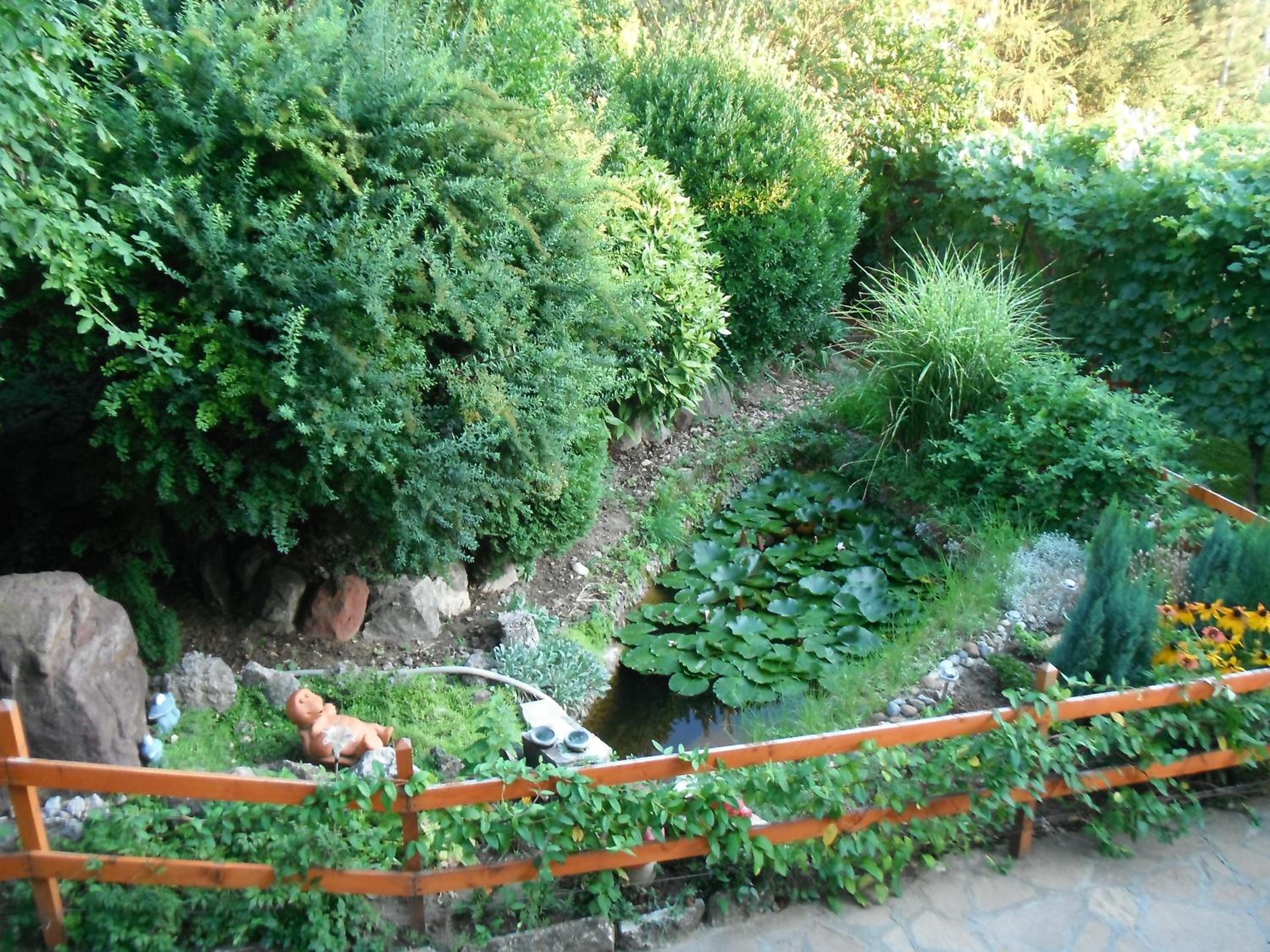 Photo 15