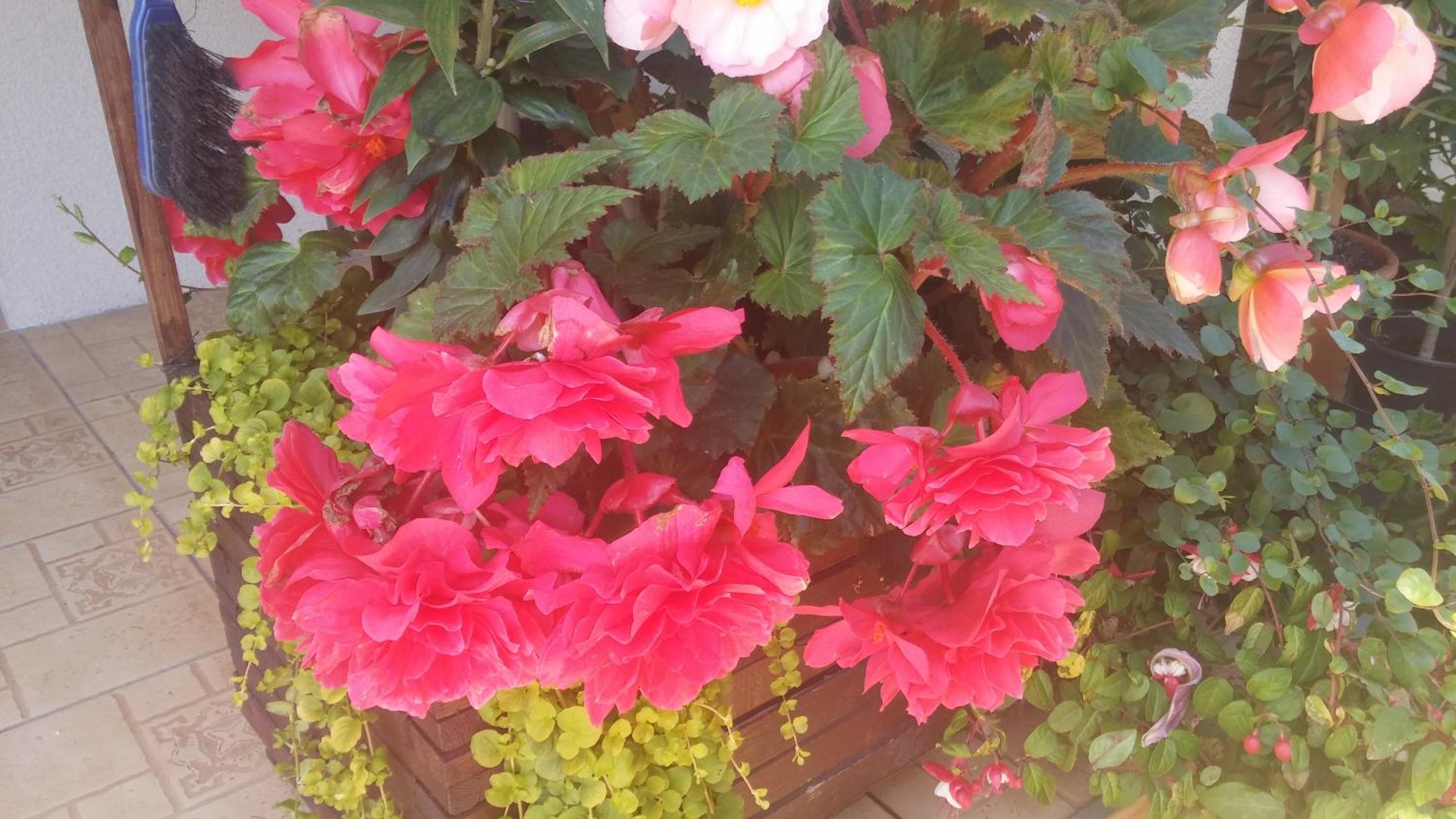 Photo 43