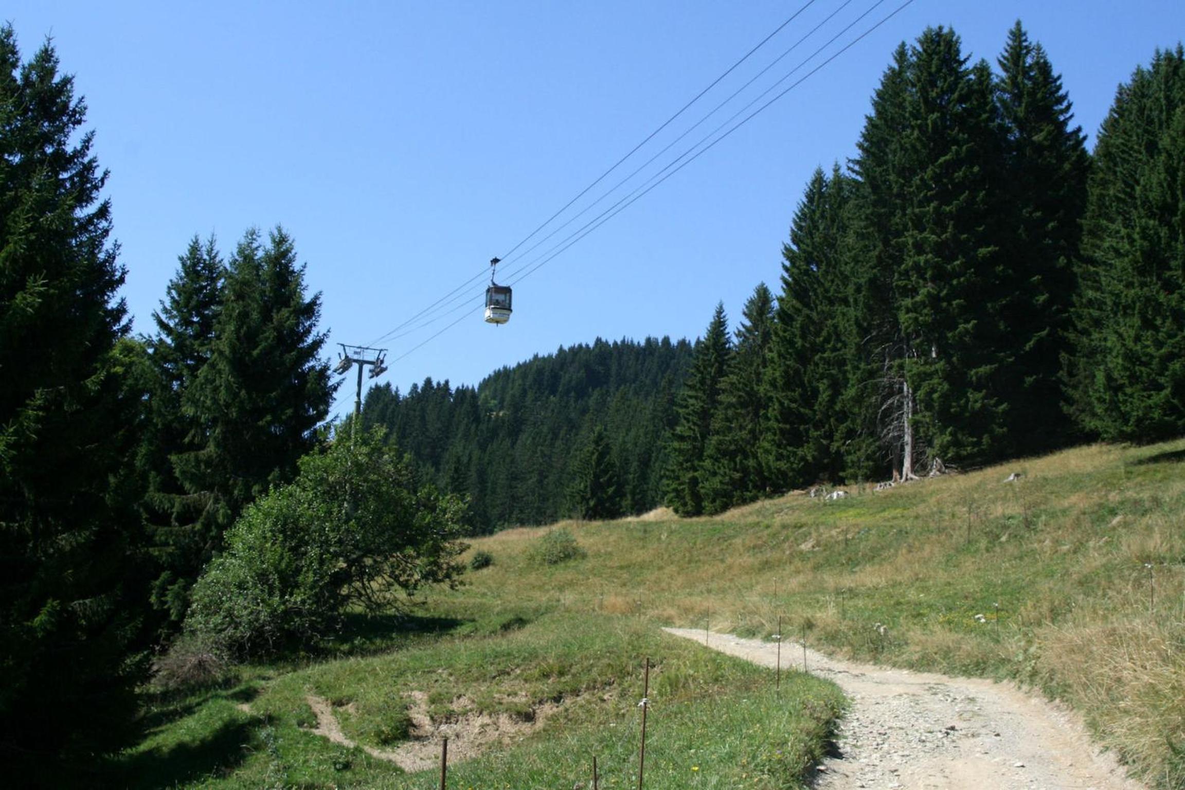 Photo 7