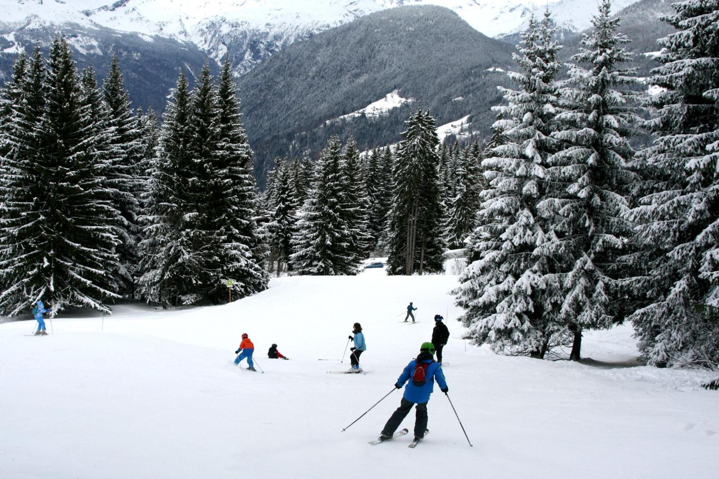 Photo 10
