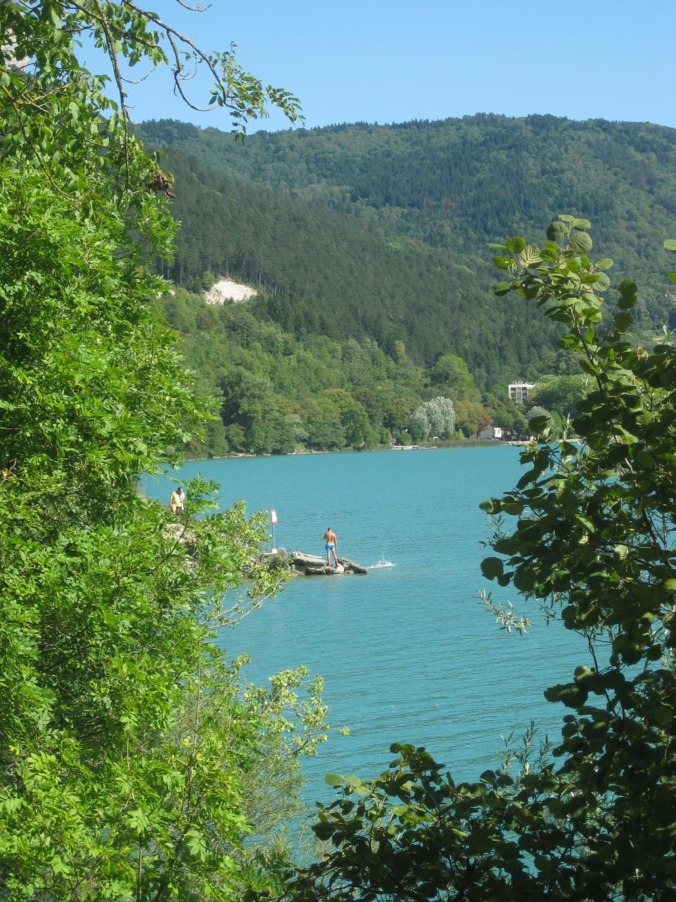 Photo 44