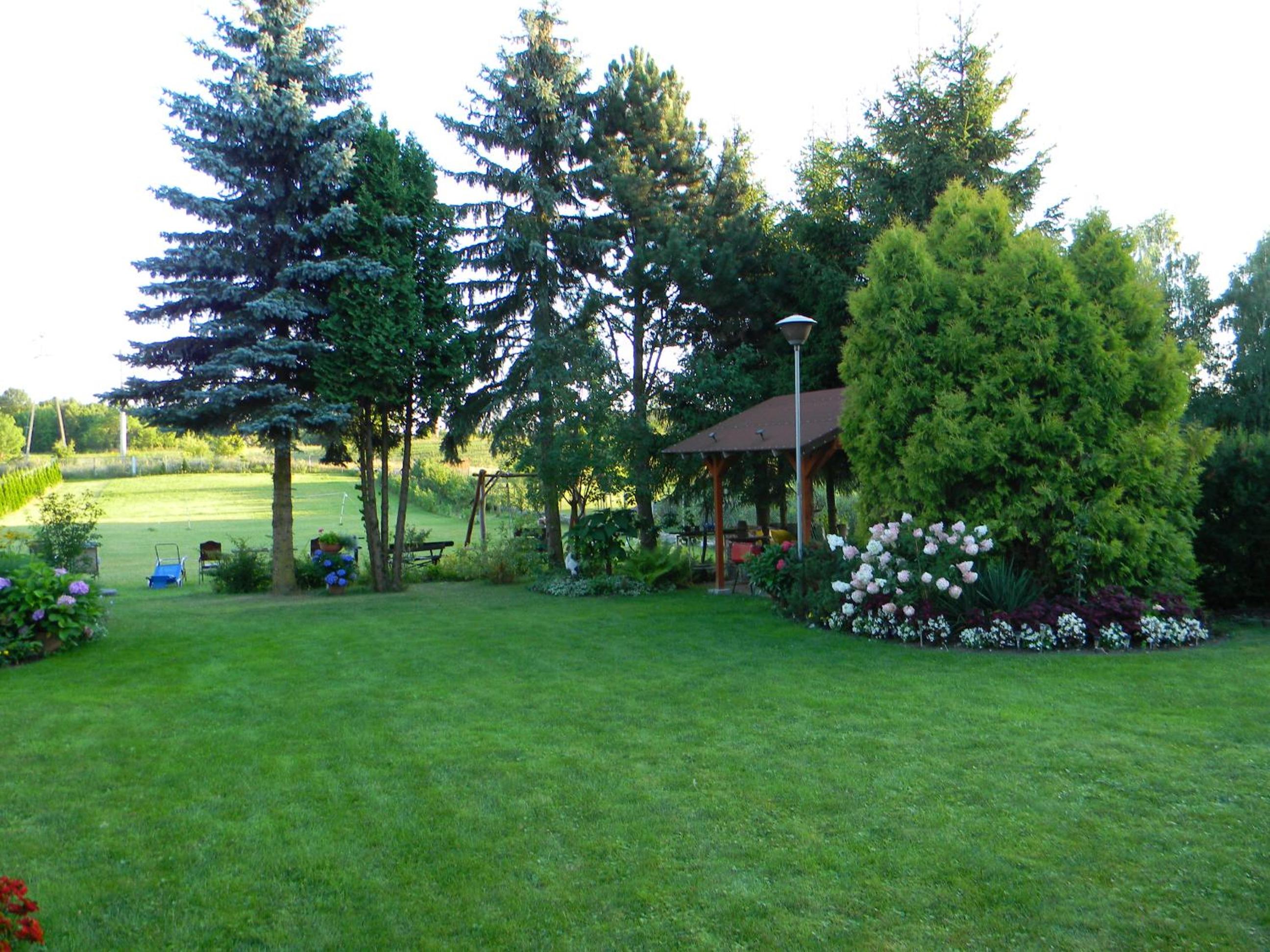 Photo 45