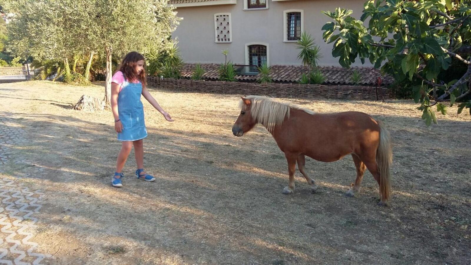 La Ginestra