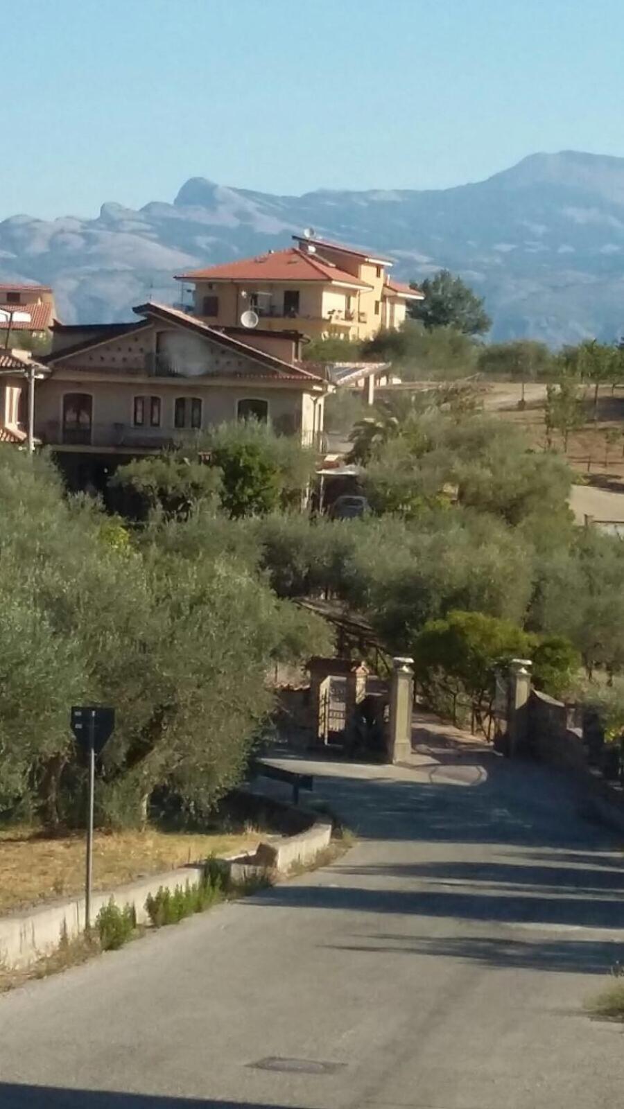 La Ginestra
