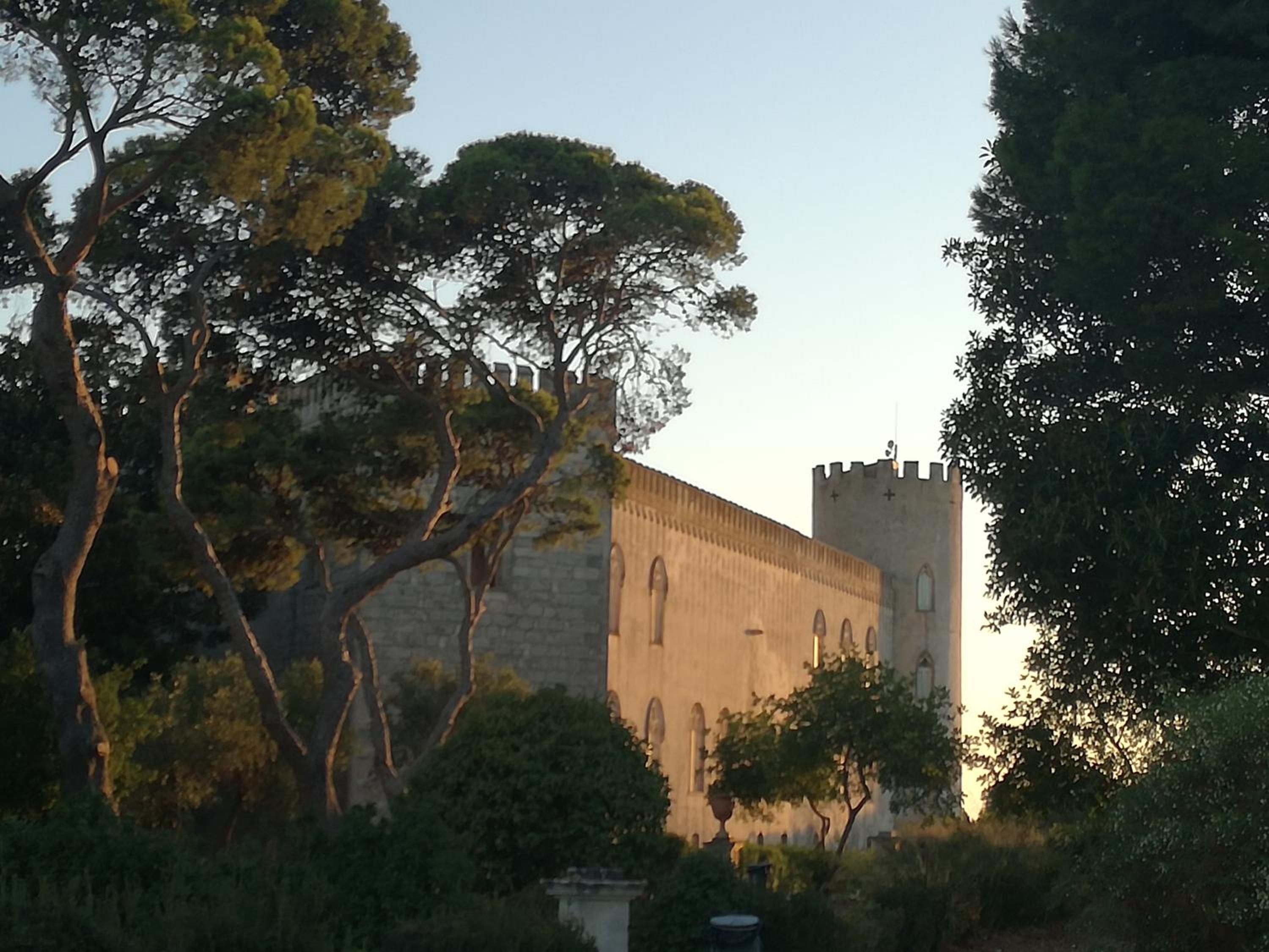 Photo 12