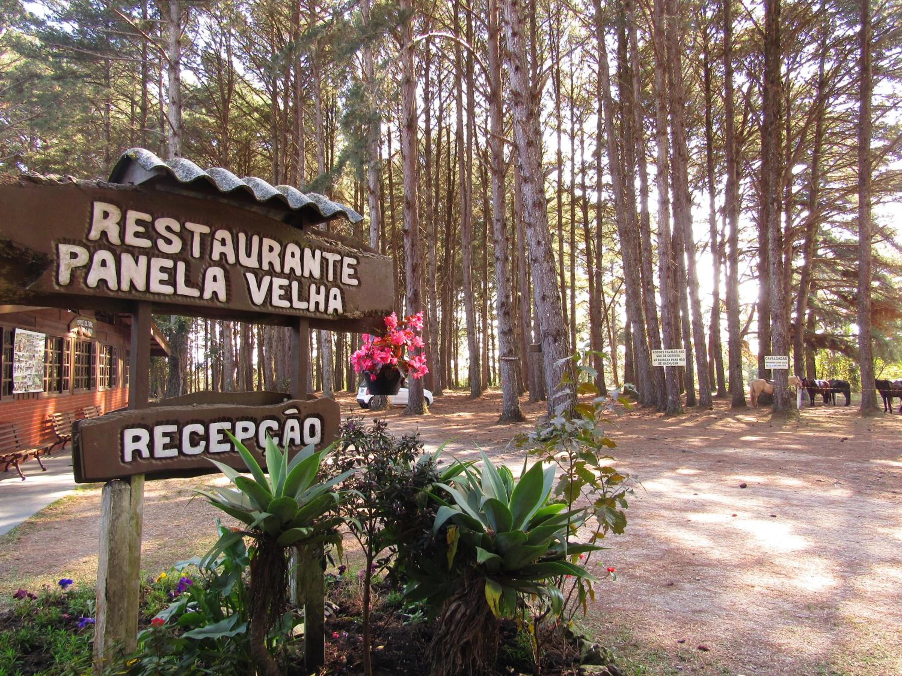 restaurant