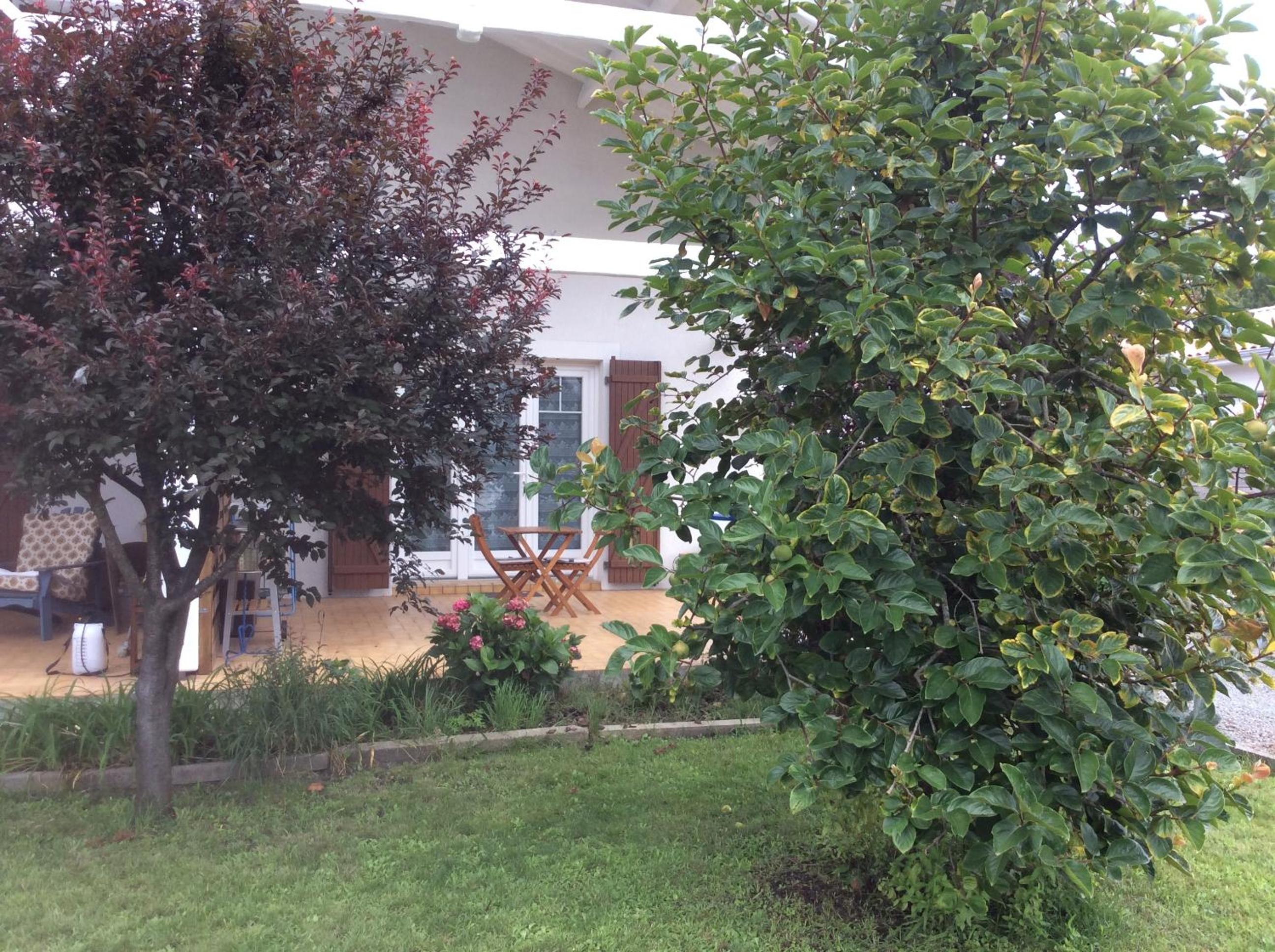 La Bulle
