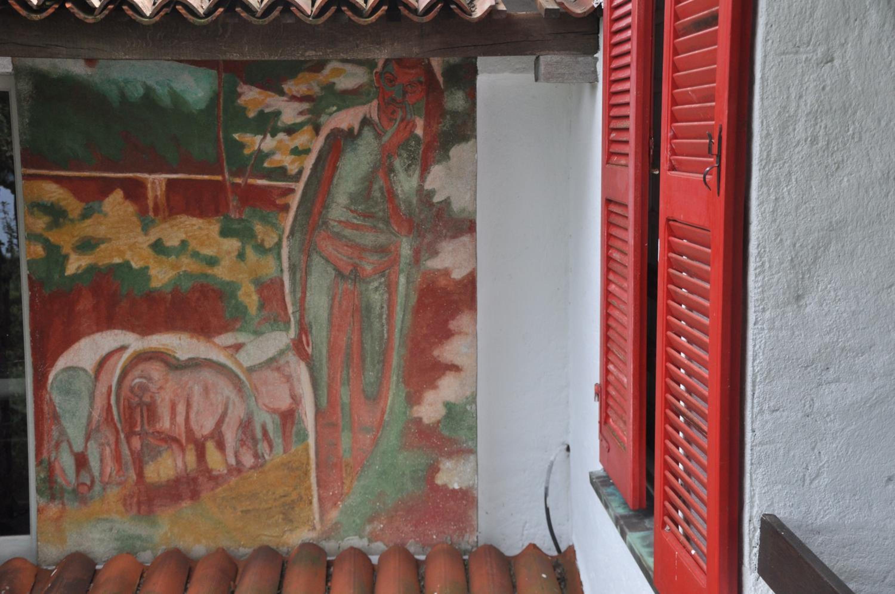Photo 7