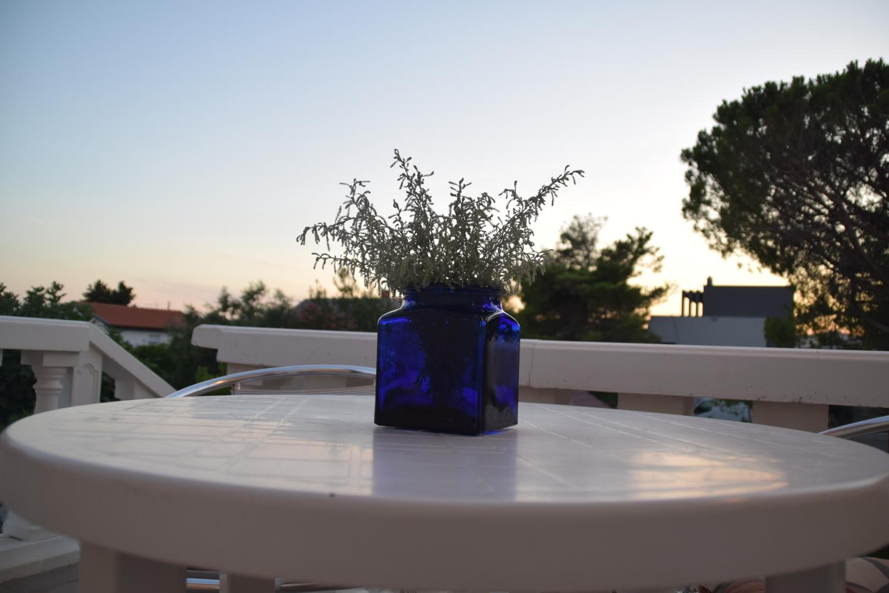 Apartment Vujic en Vir