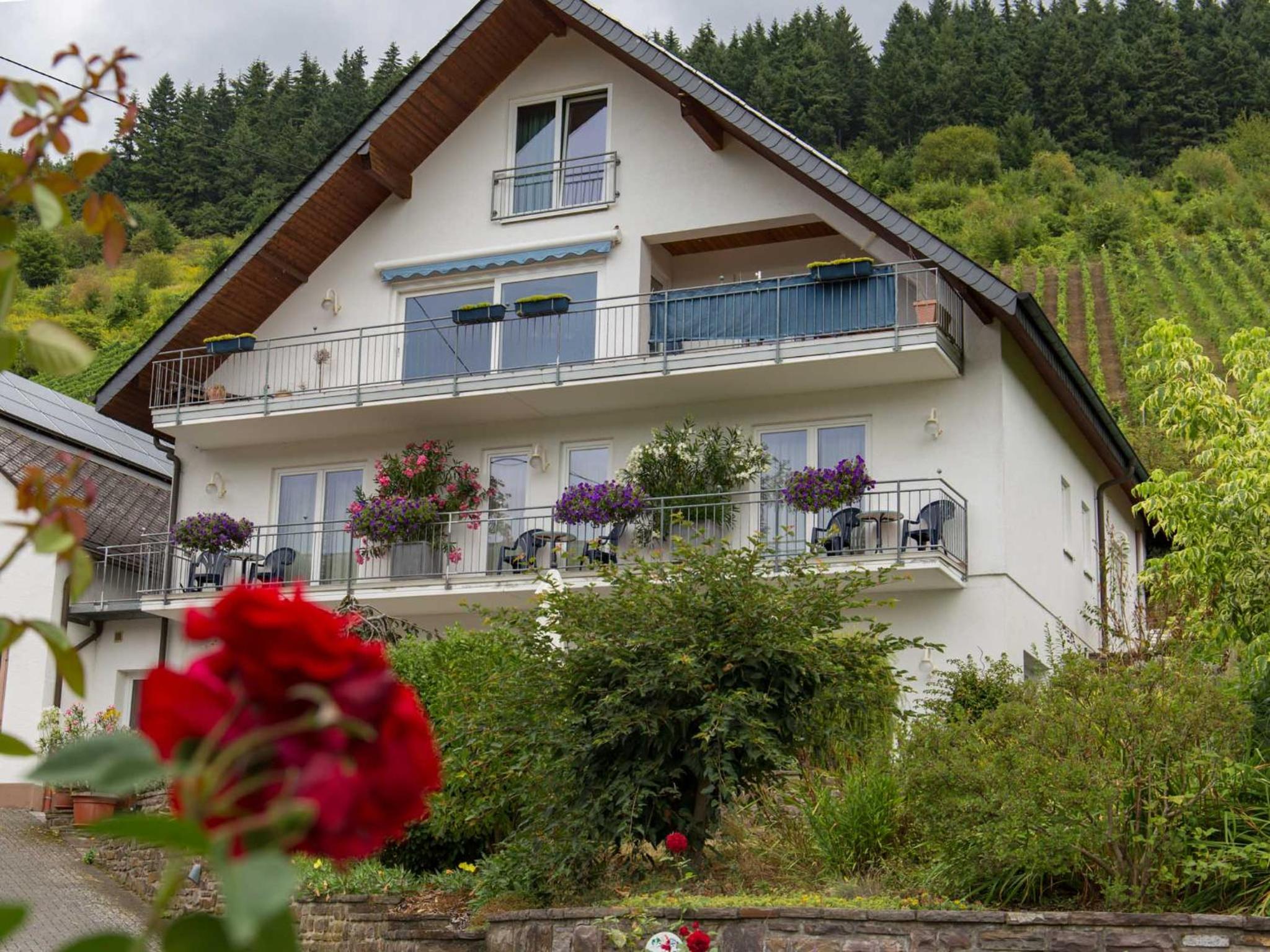Gästehaus FALKLAY