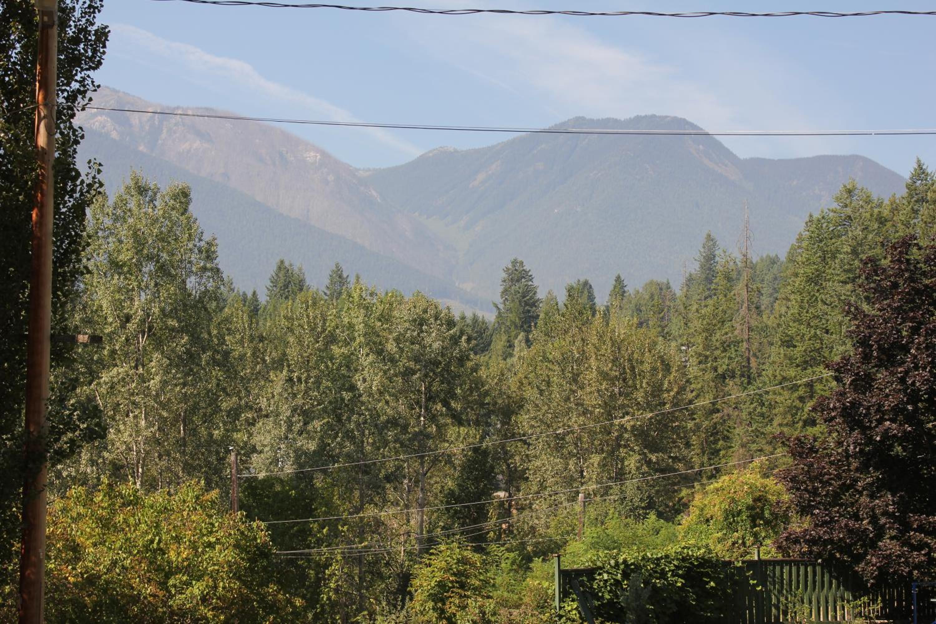 Photo 45
