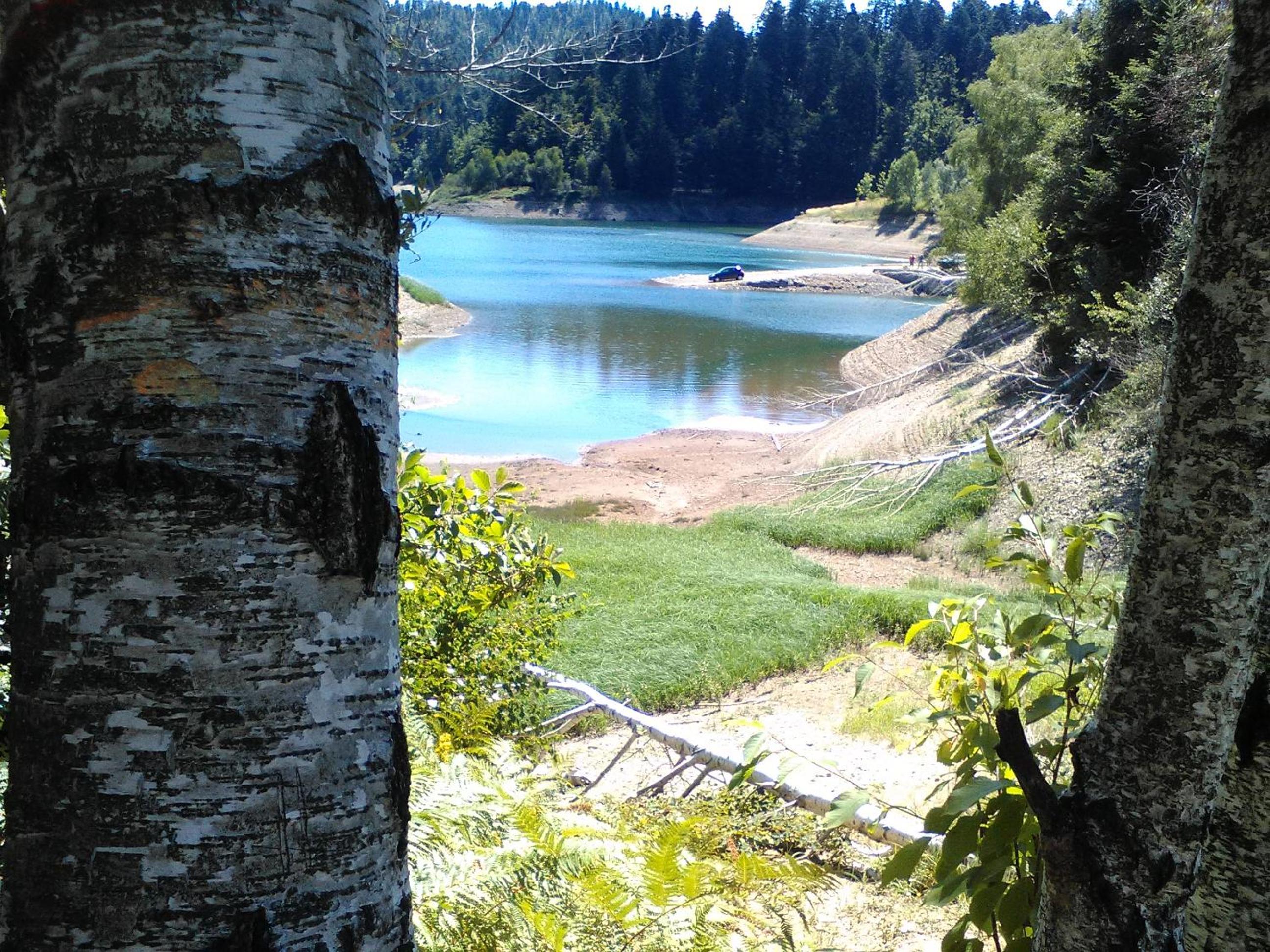 Photo 14