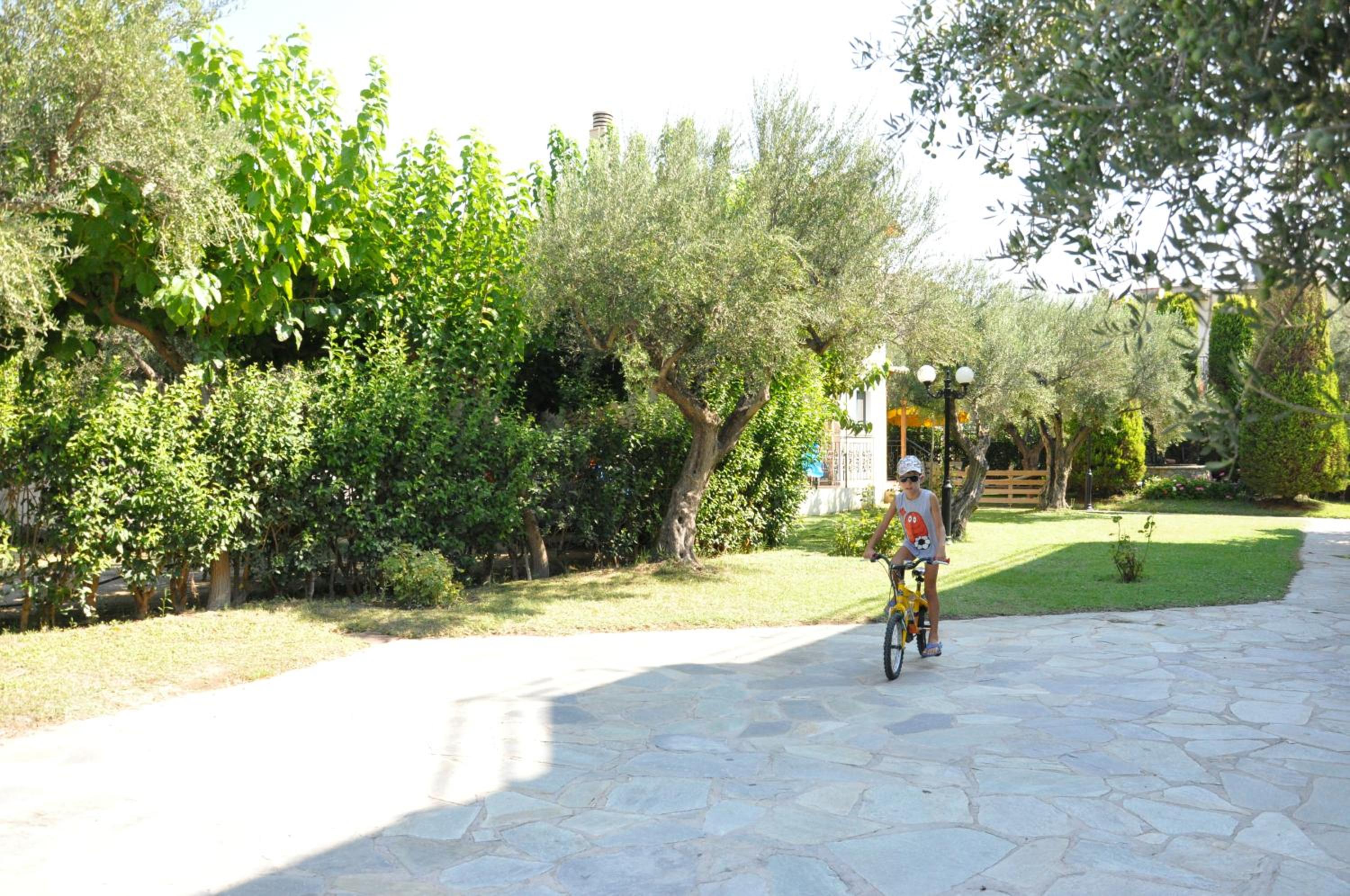 Photo 21