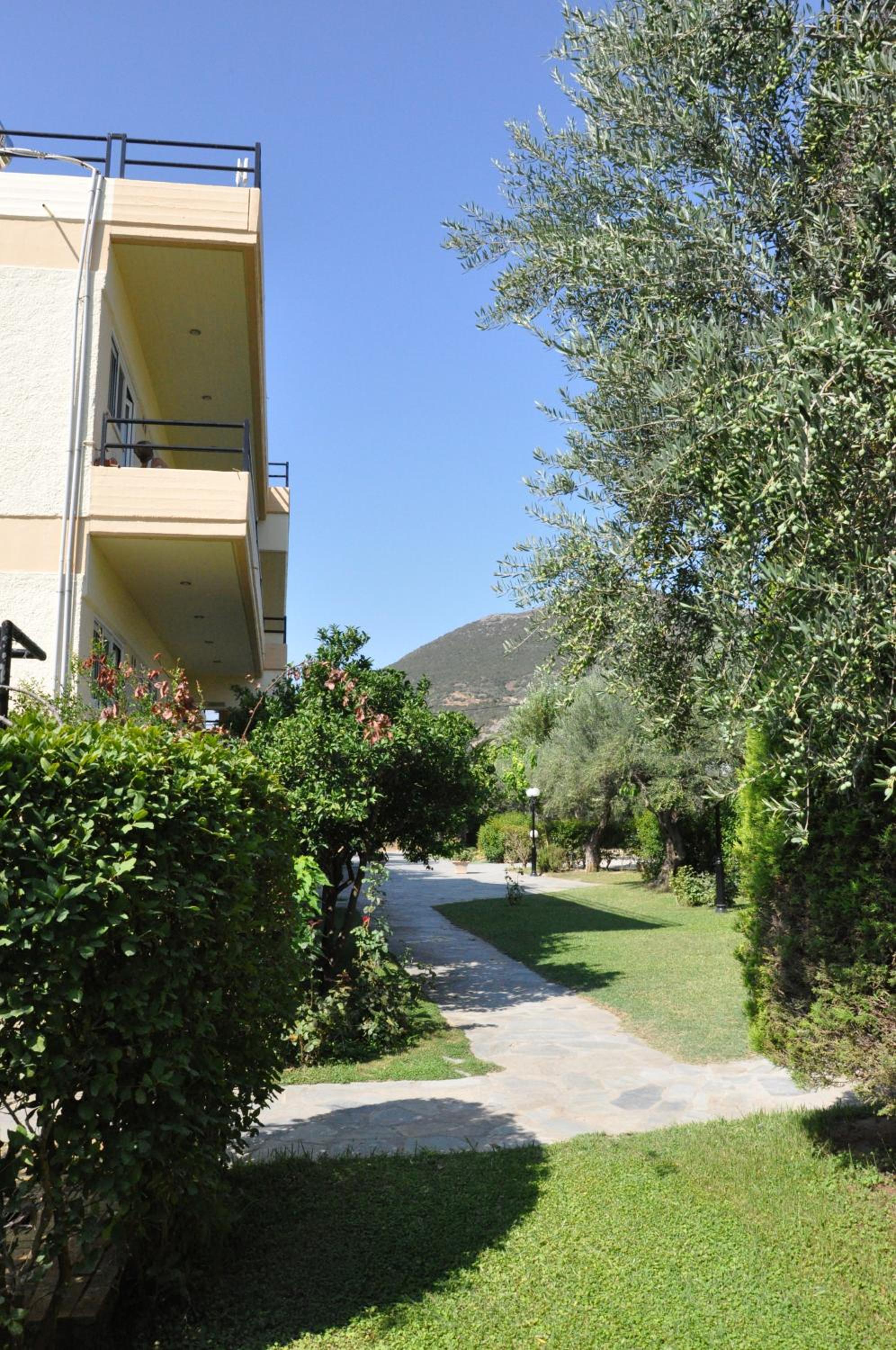 Photo 19
