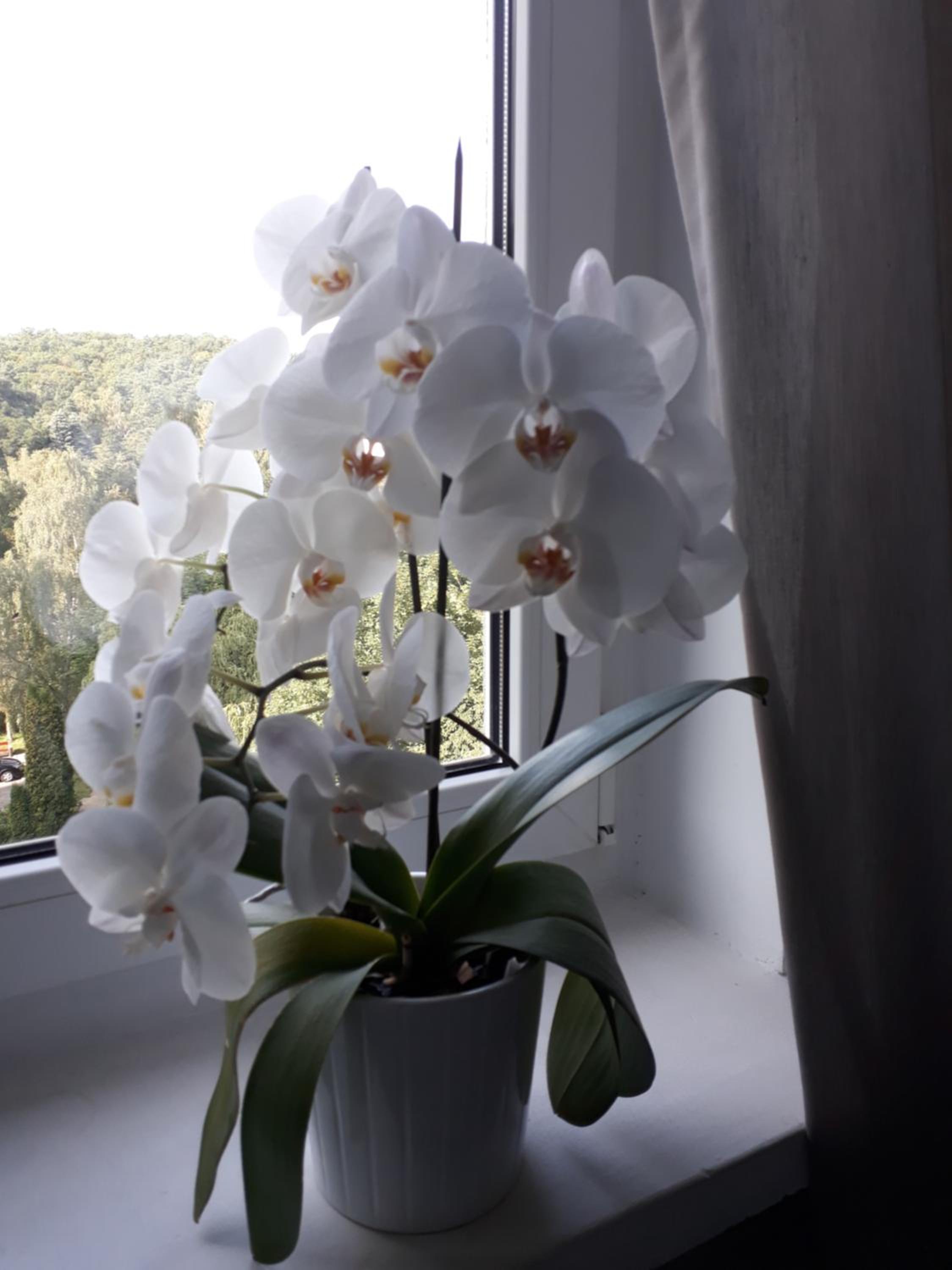 Apartament Marina
