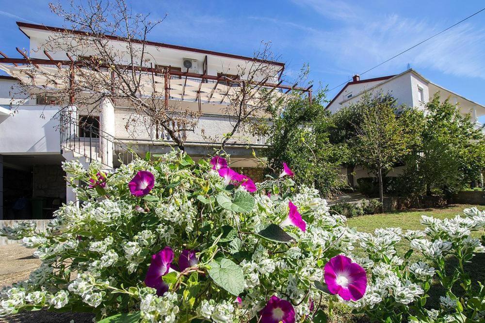 Apartmani Šimić view 2