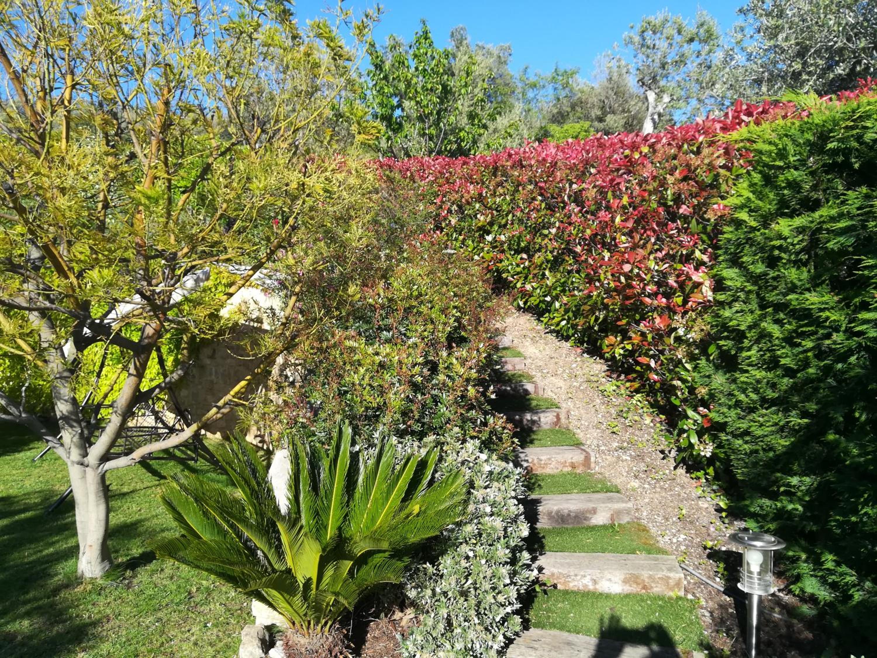 Mas De La Coste
