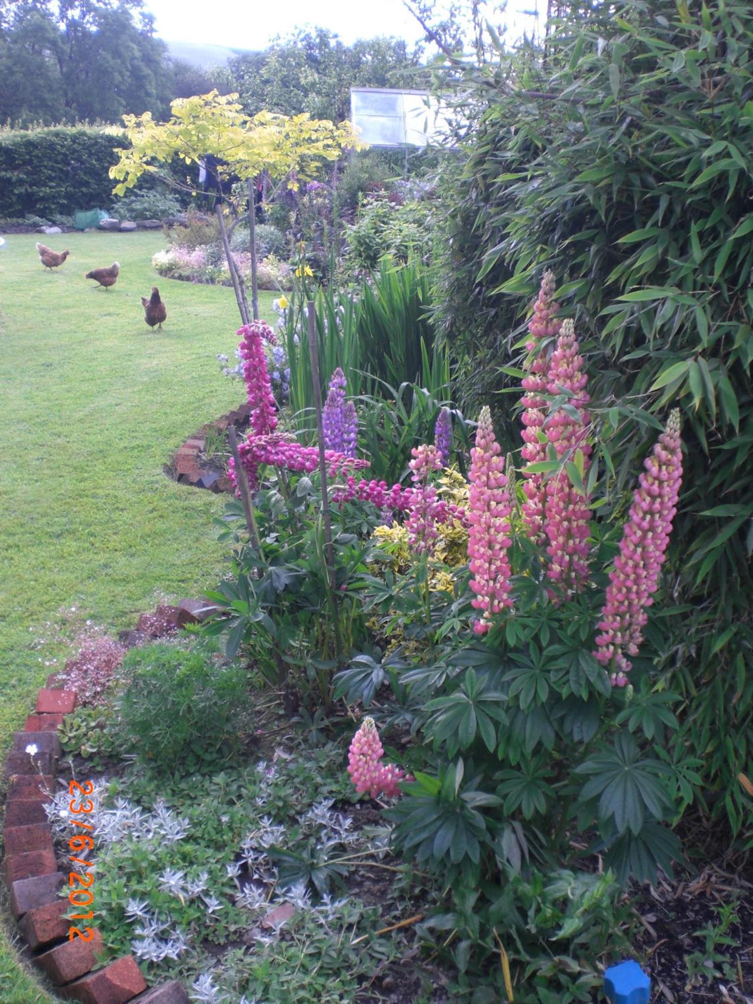 Photo 28