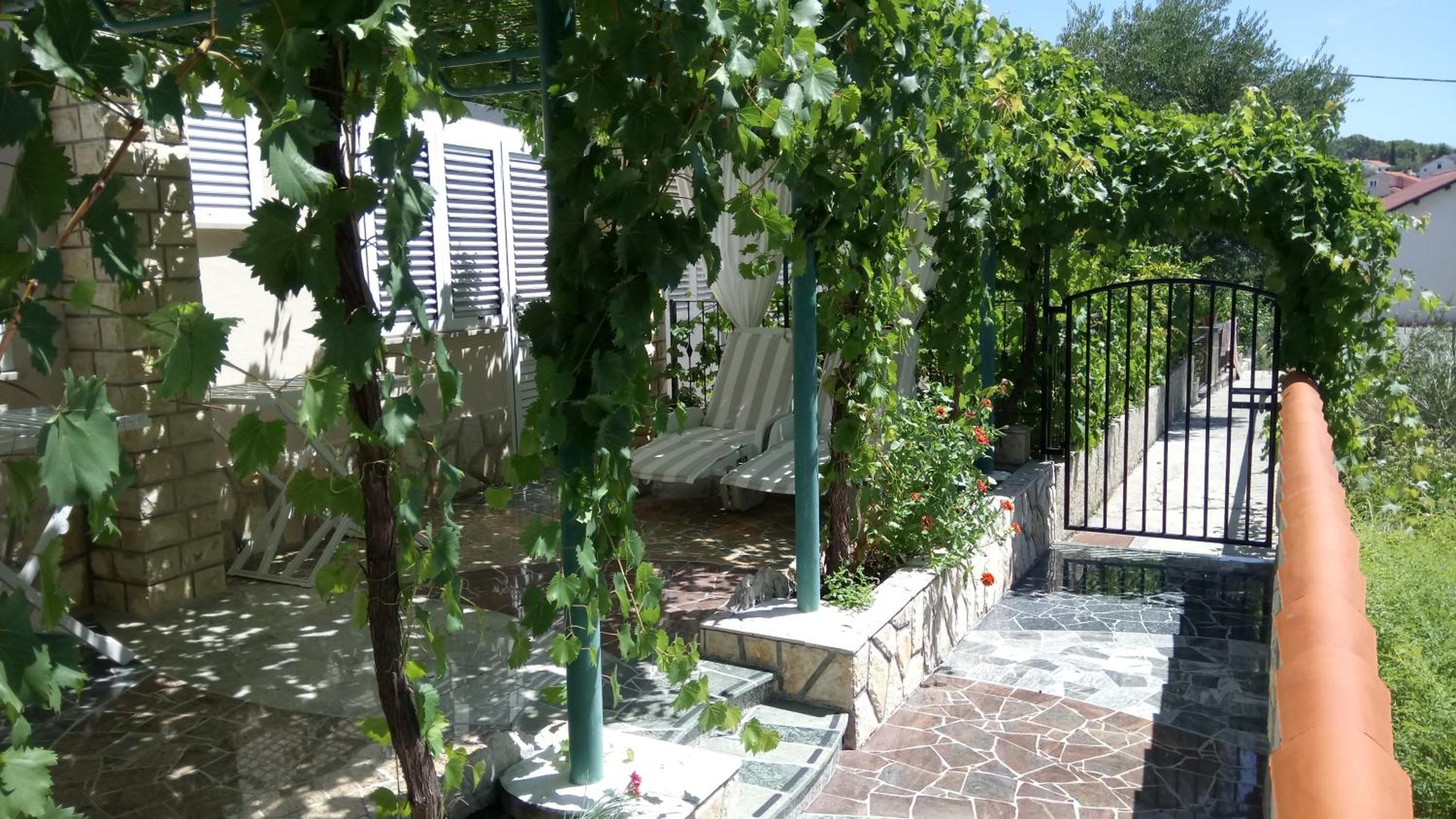 Photo 31