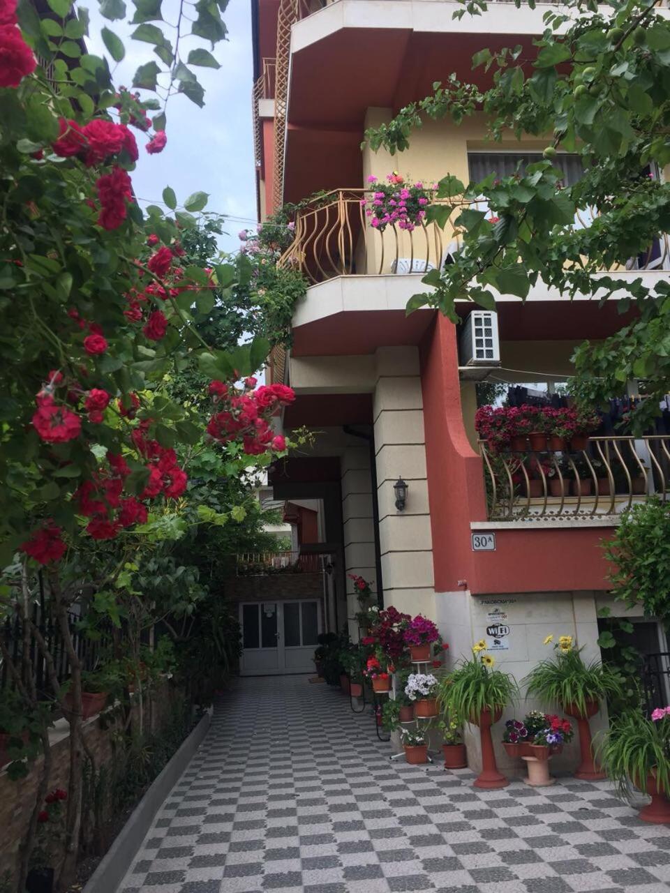 Violeta 7 Guest House