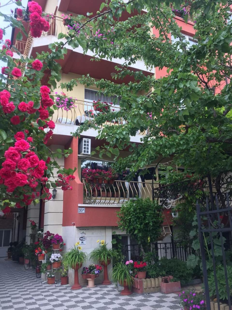 Violeta 7 Guest House