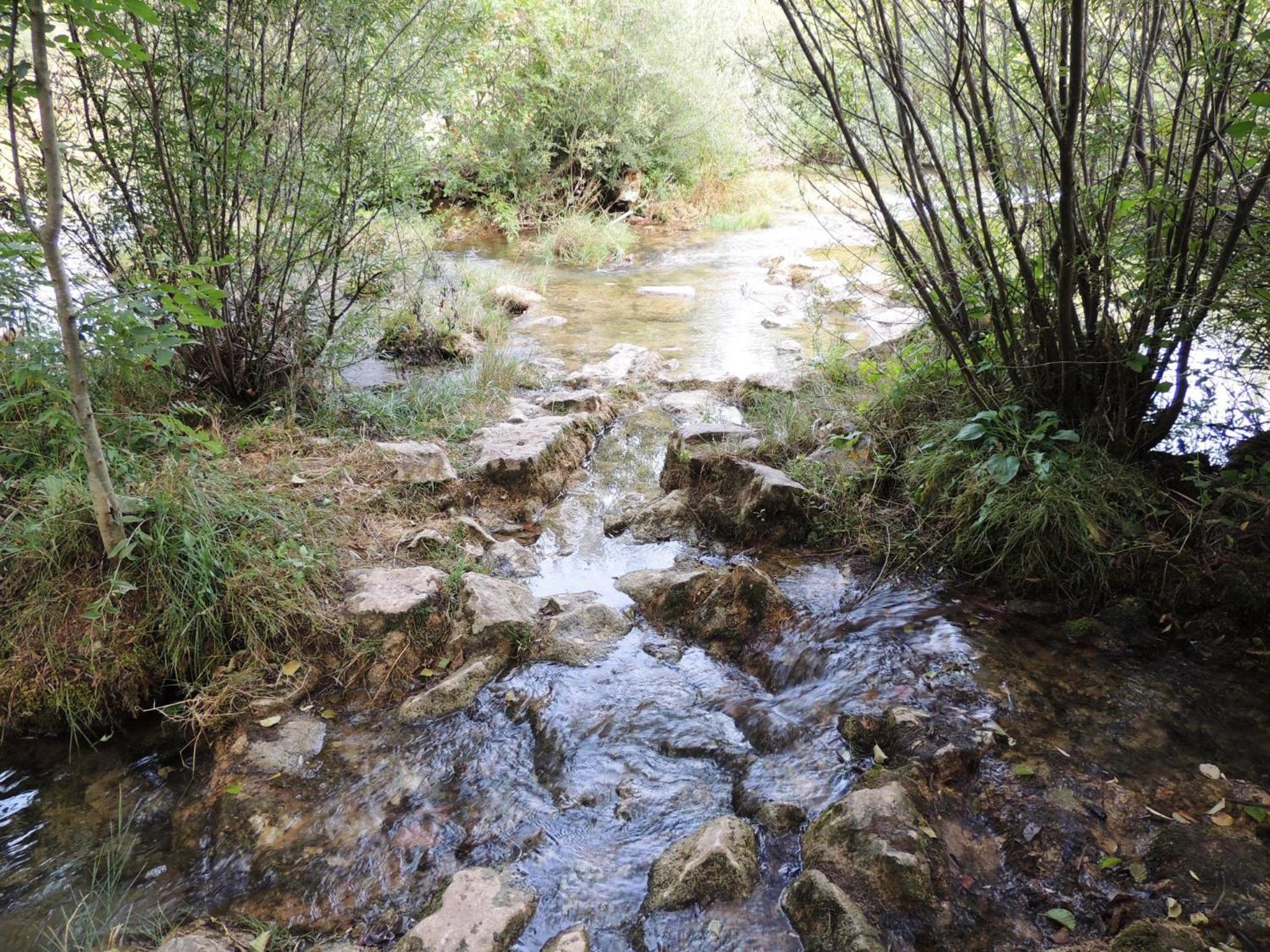 Photo 25