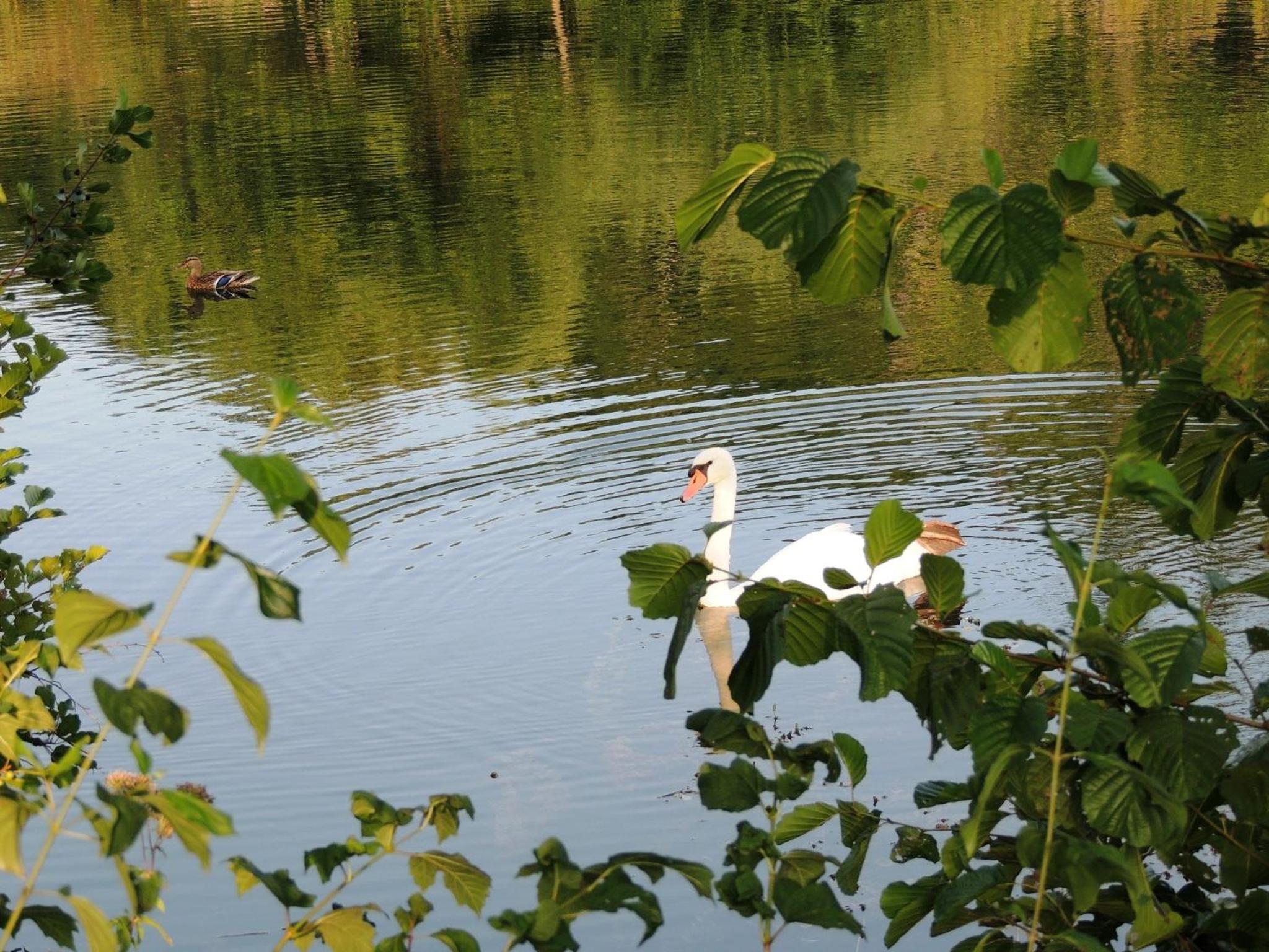 Photo 24
