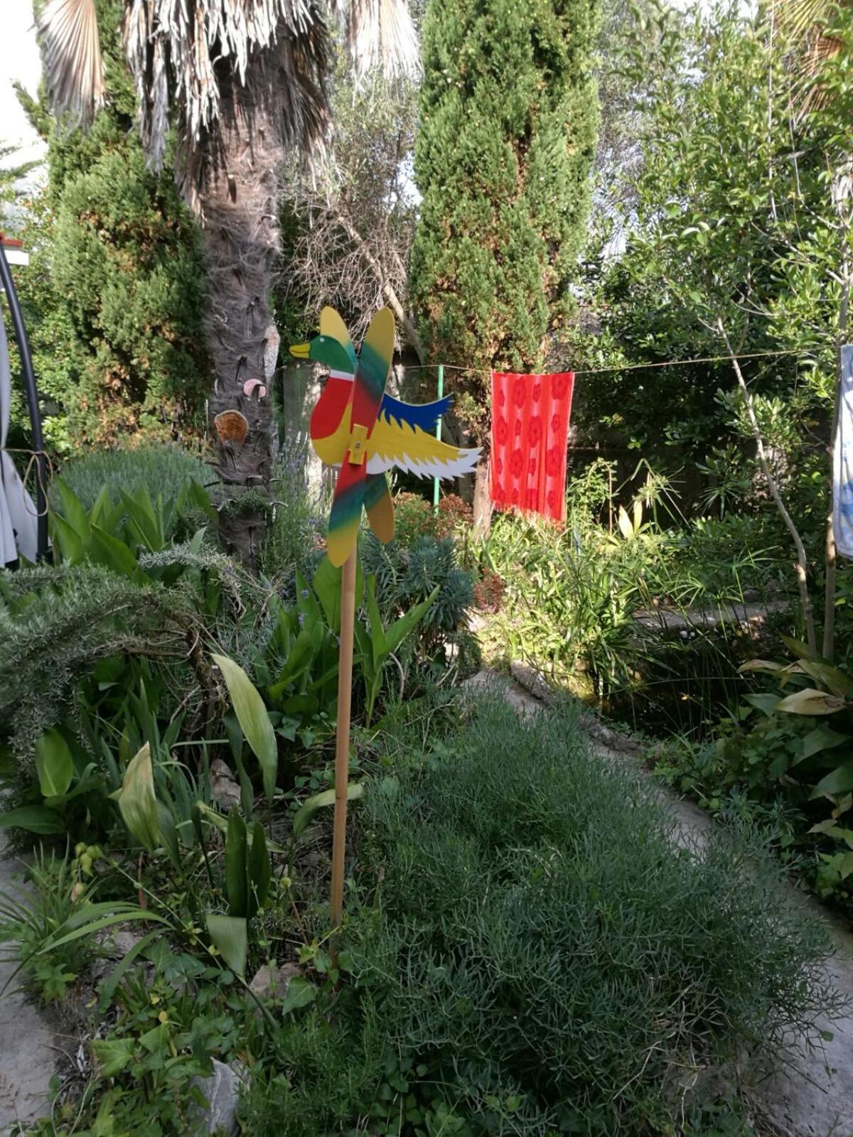 Photo 26