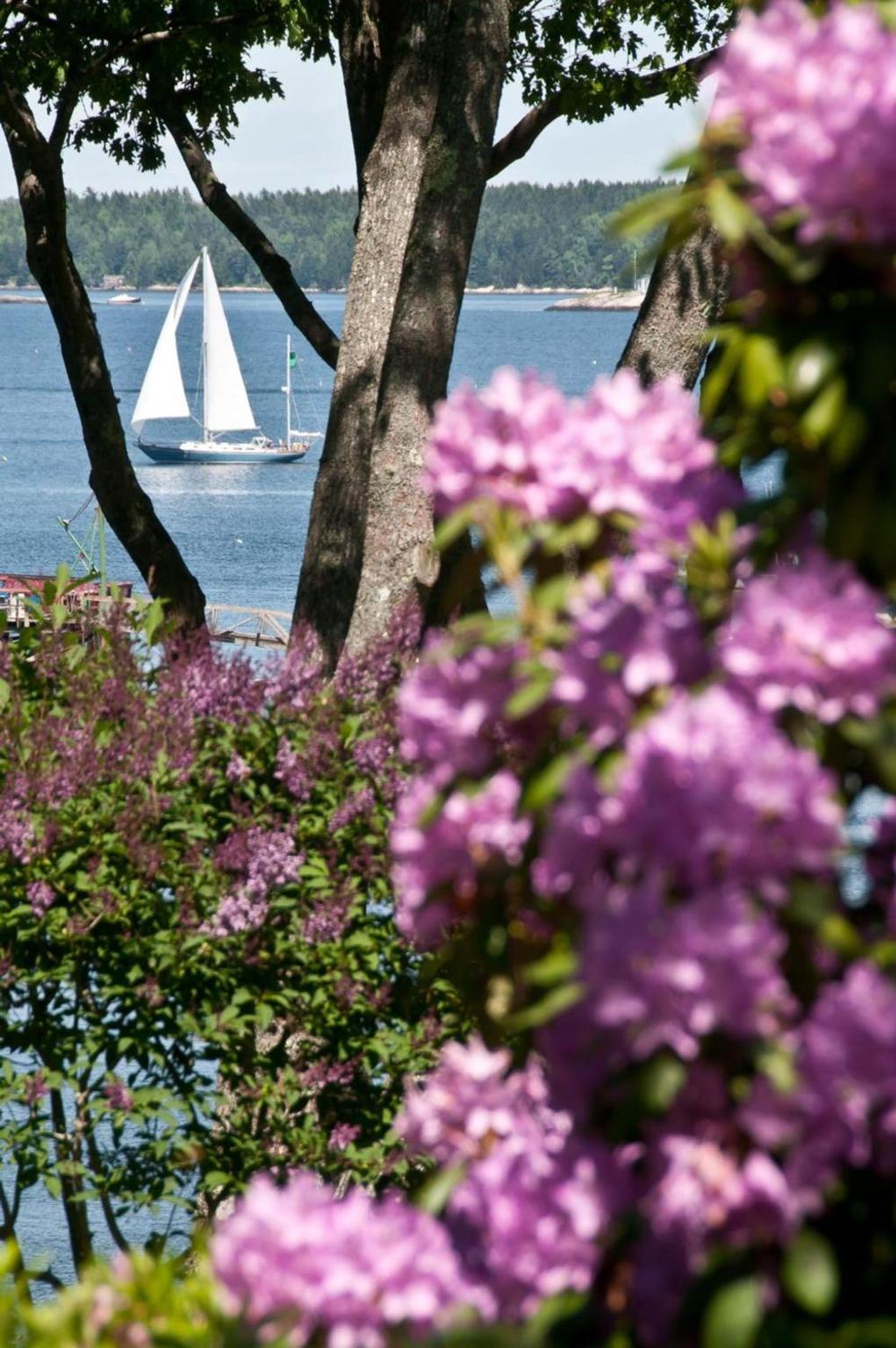 Coveside Bed & Breakfast