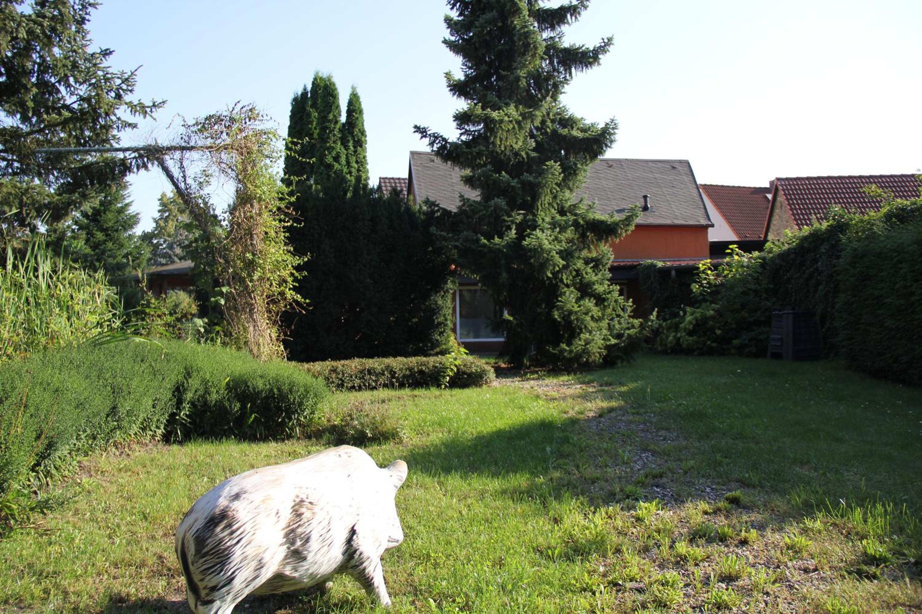 Photo 24