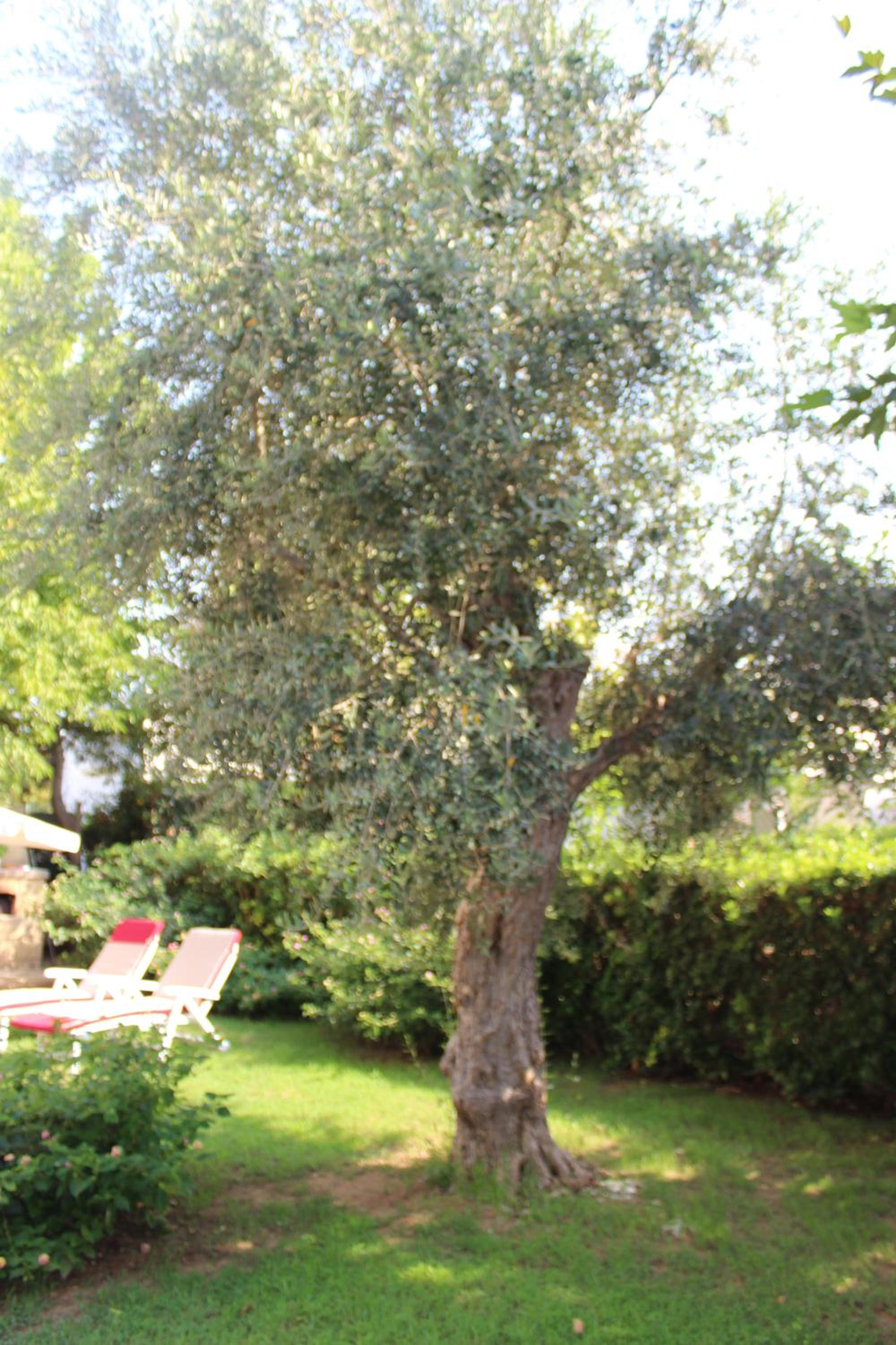 Casa Vacanze Turchese view 5