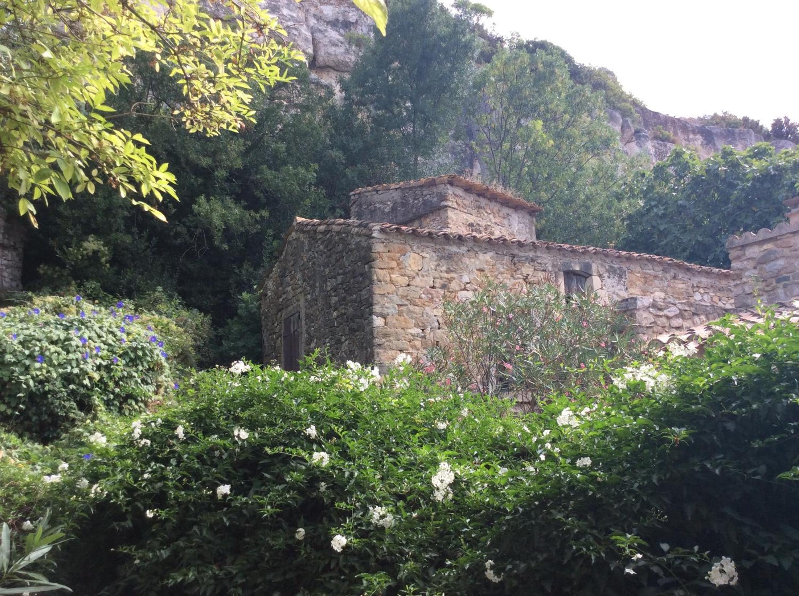 Photo 6
