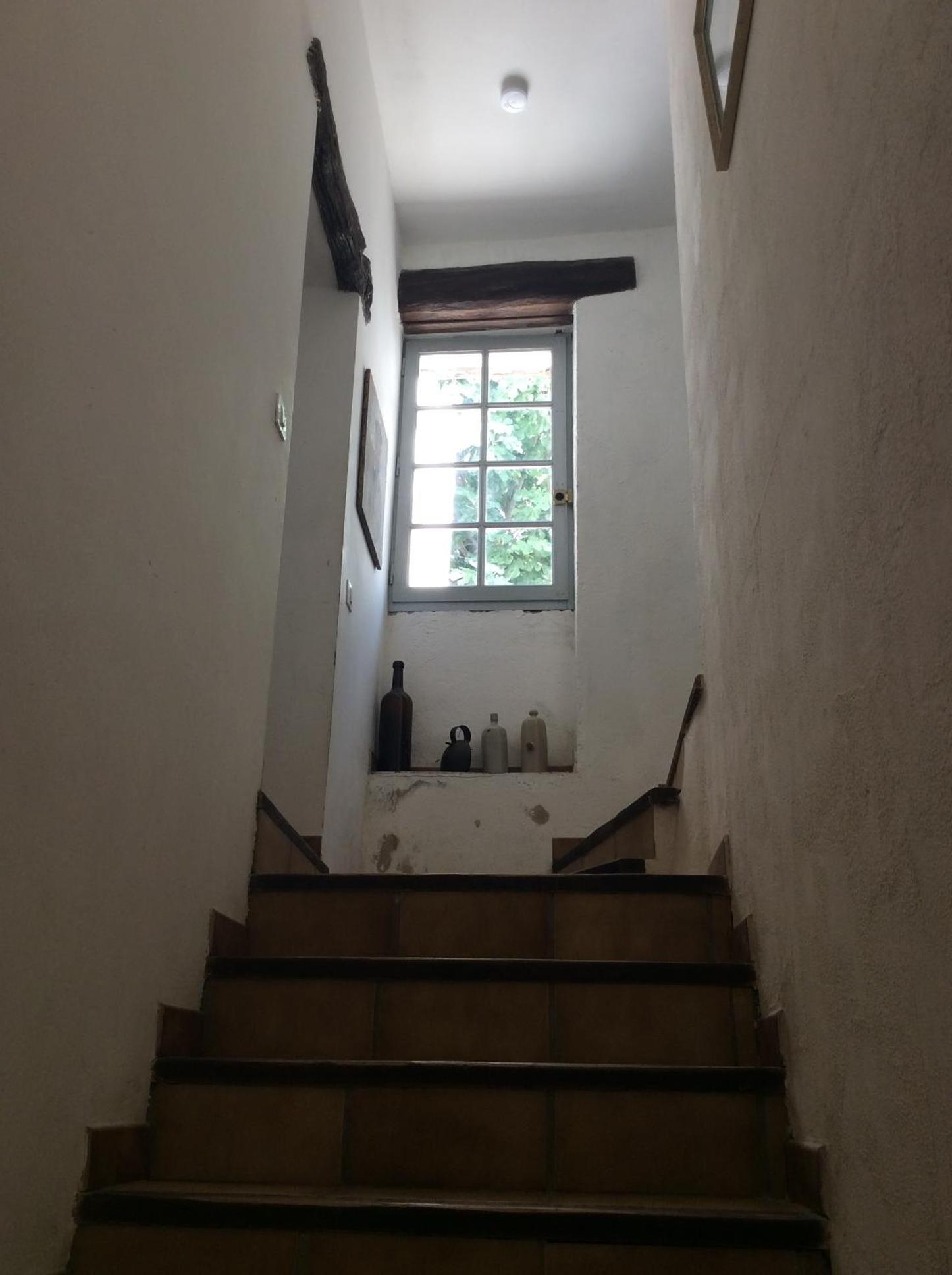 Photo 51