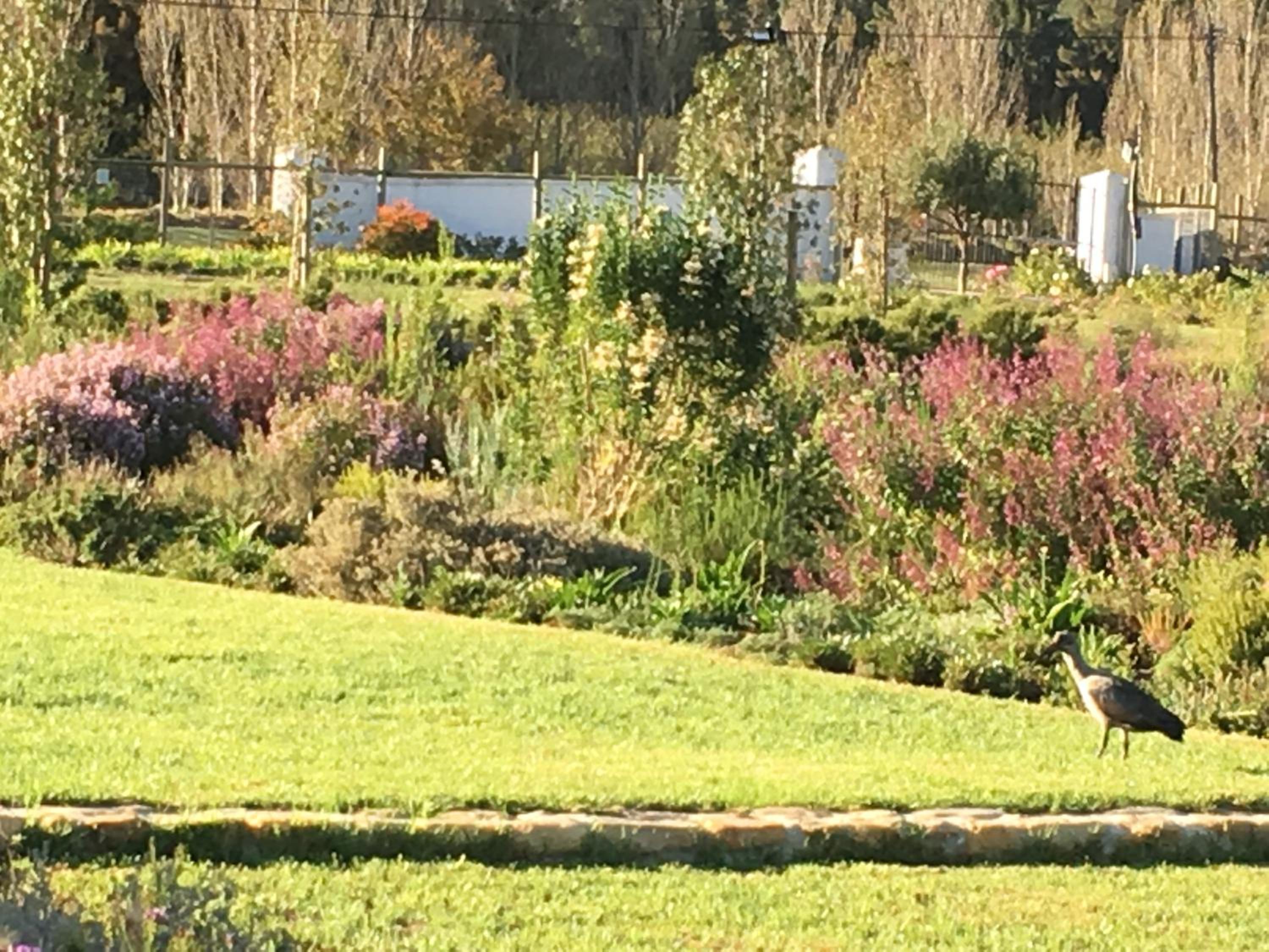 The Terraces @ Chambray Estate