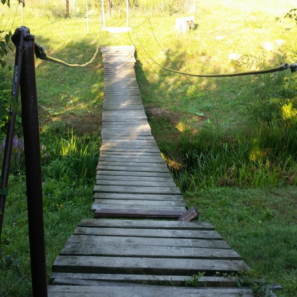Photo 23