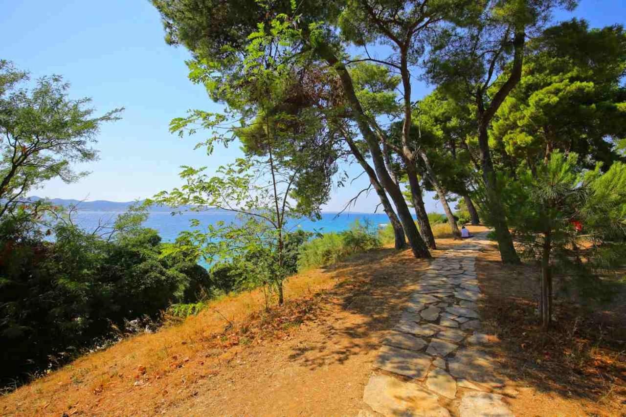 Lavender Suite Zadar view 4
