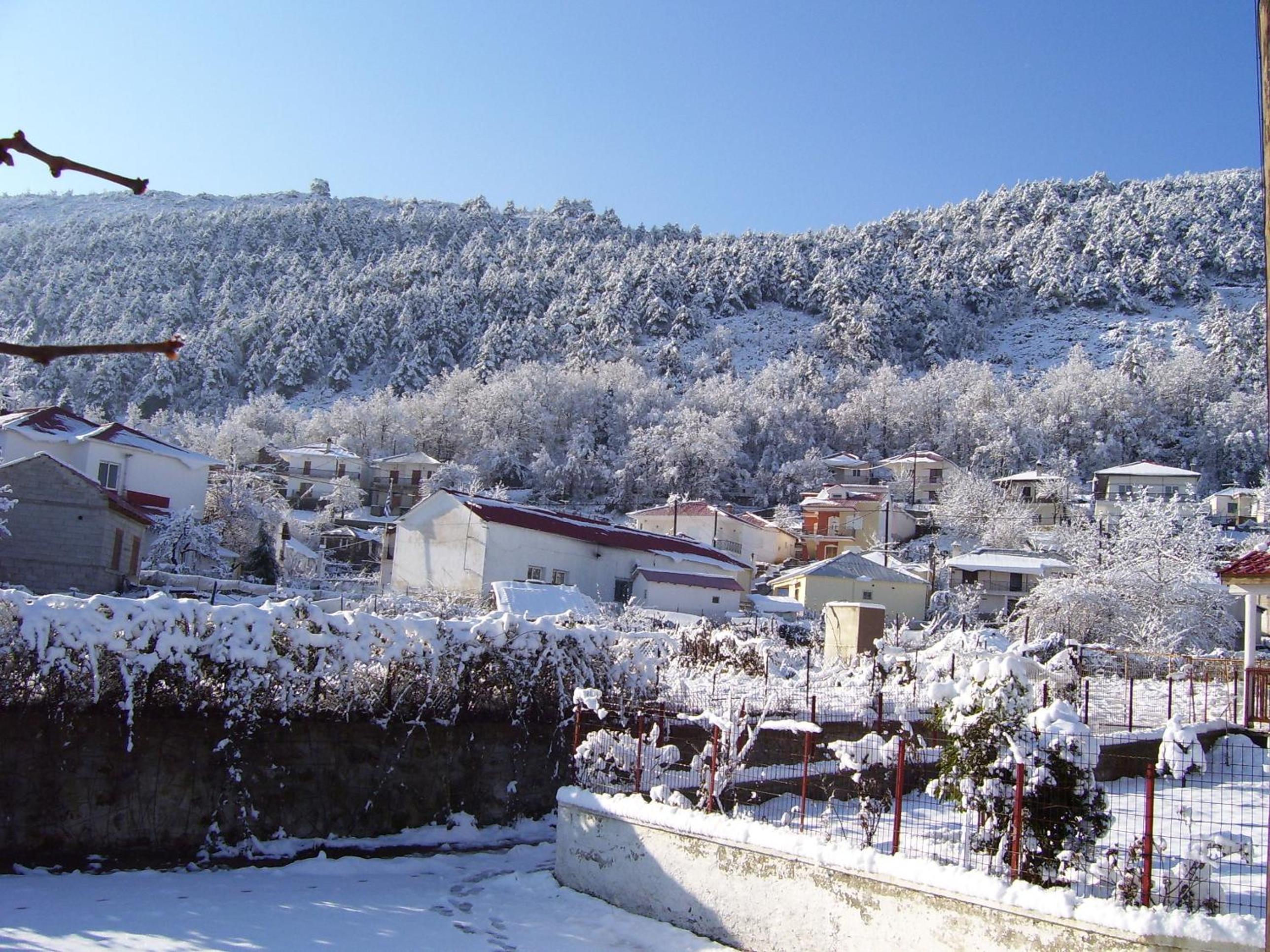Panorama Kakopleyri Kalabakas