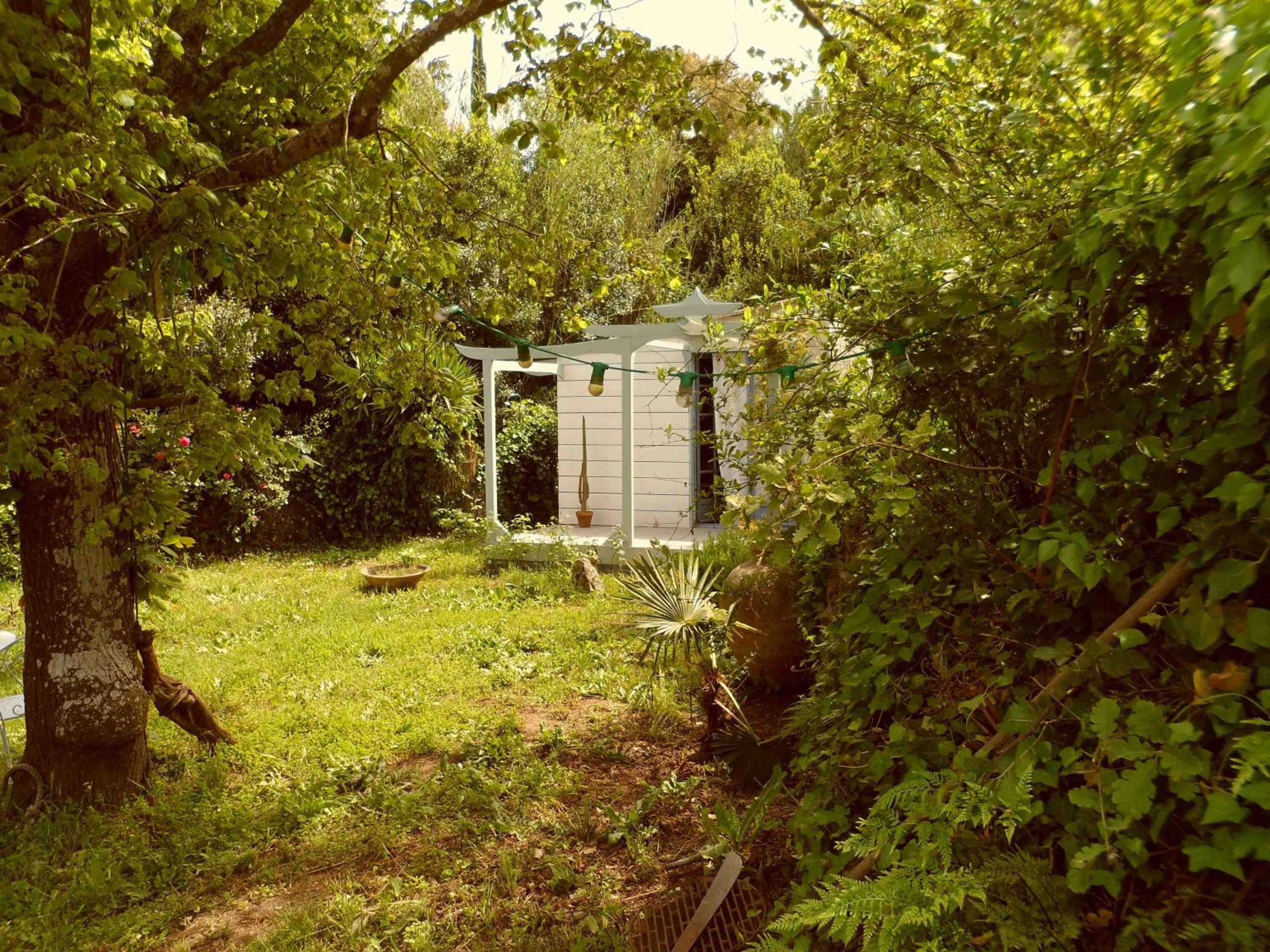 Photo 13